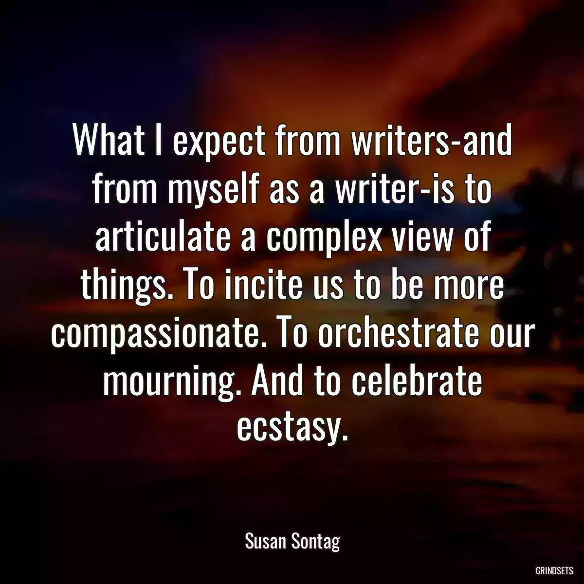 What I expect from writers-and from myself as a writer-is to articulate a complex view of things. To incite us to be more compassionate. To orchestrate our mourning. And to celebrate ecstasy.