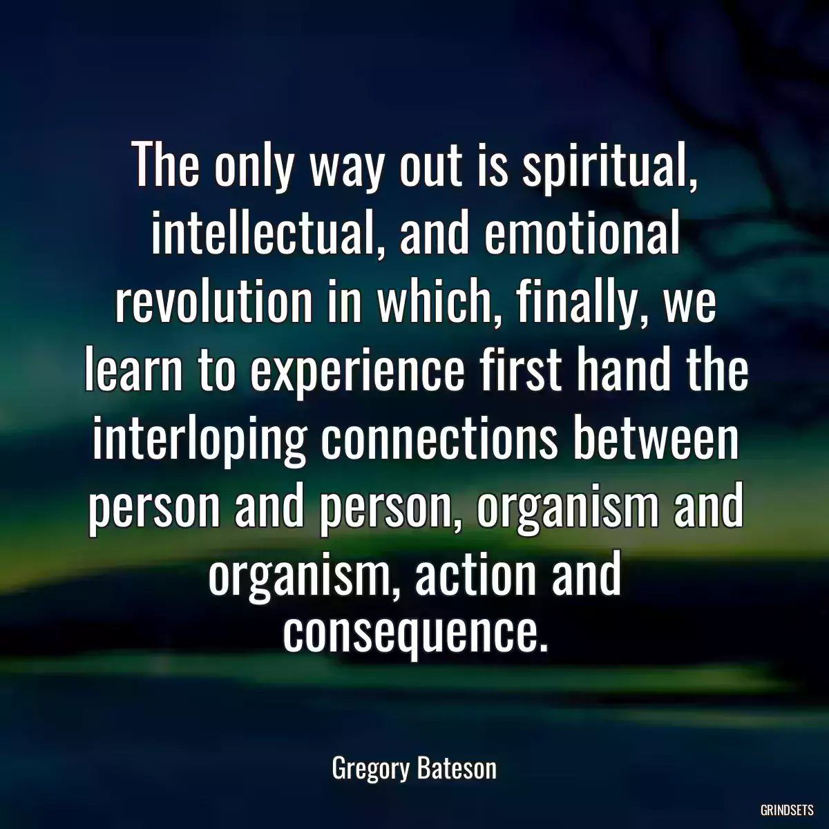 The only way out is spiritual, intellectual, and emotional revolution in which, finally, we learn to experience first hand the interloping connections between person and person, organism and organism, action and consequence.