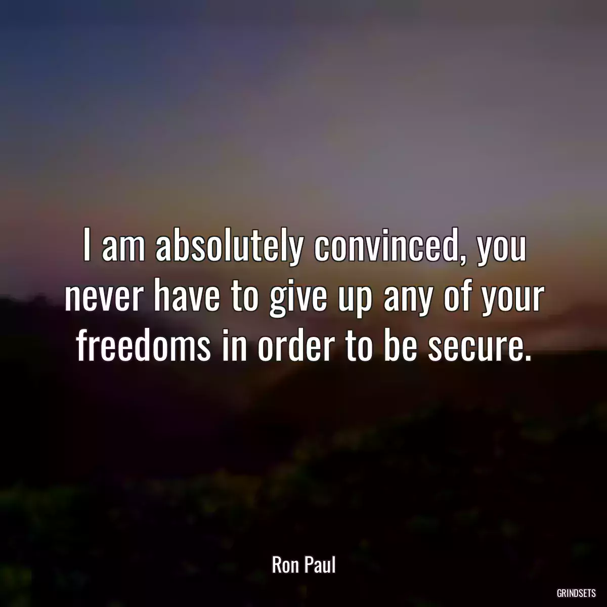 I am absolutely convinced, you never have to give up any of your freedoms in order to be secure.