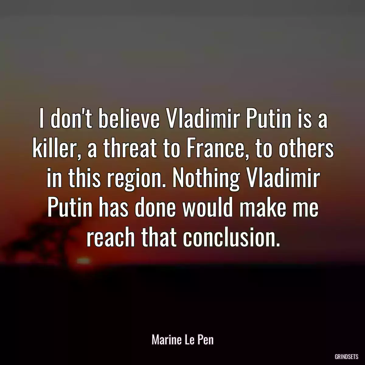 I don\'t believe Vladimir Putin is a killer, a threat to France, to others in this region. Nothing Vladimir Putin has done would make me reach that conclusion.