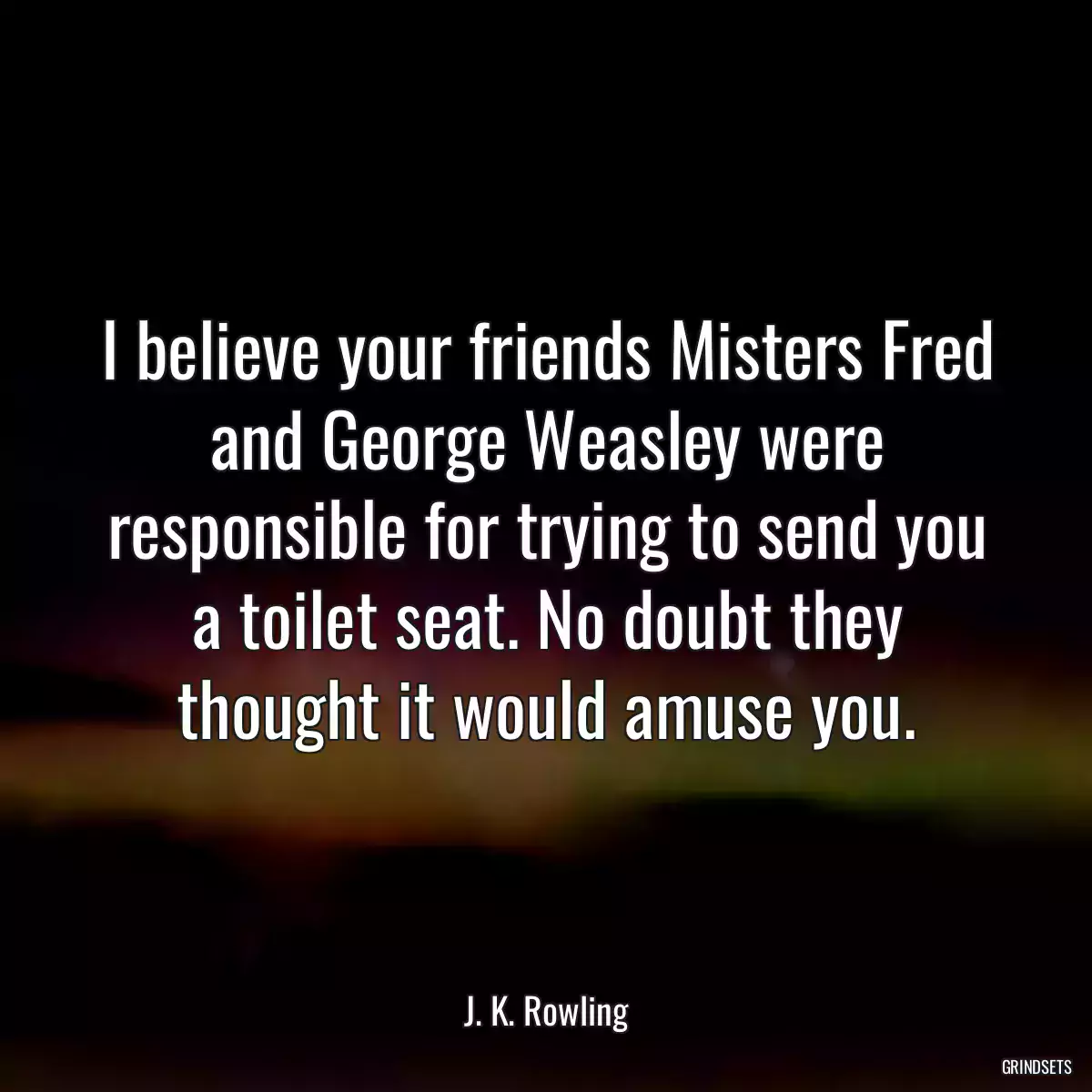 I believe your friends Misters Fred and George Weasley were responsible for trying to send you a toilet seat. No doubt they thought it would amuse you.