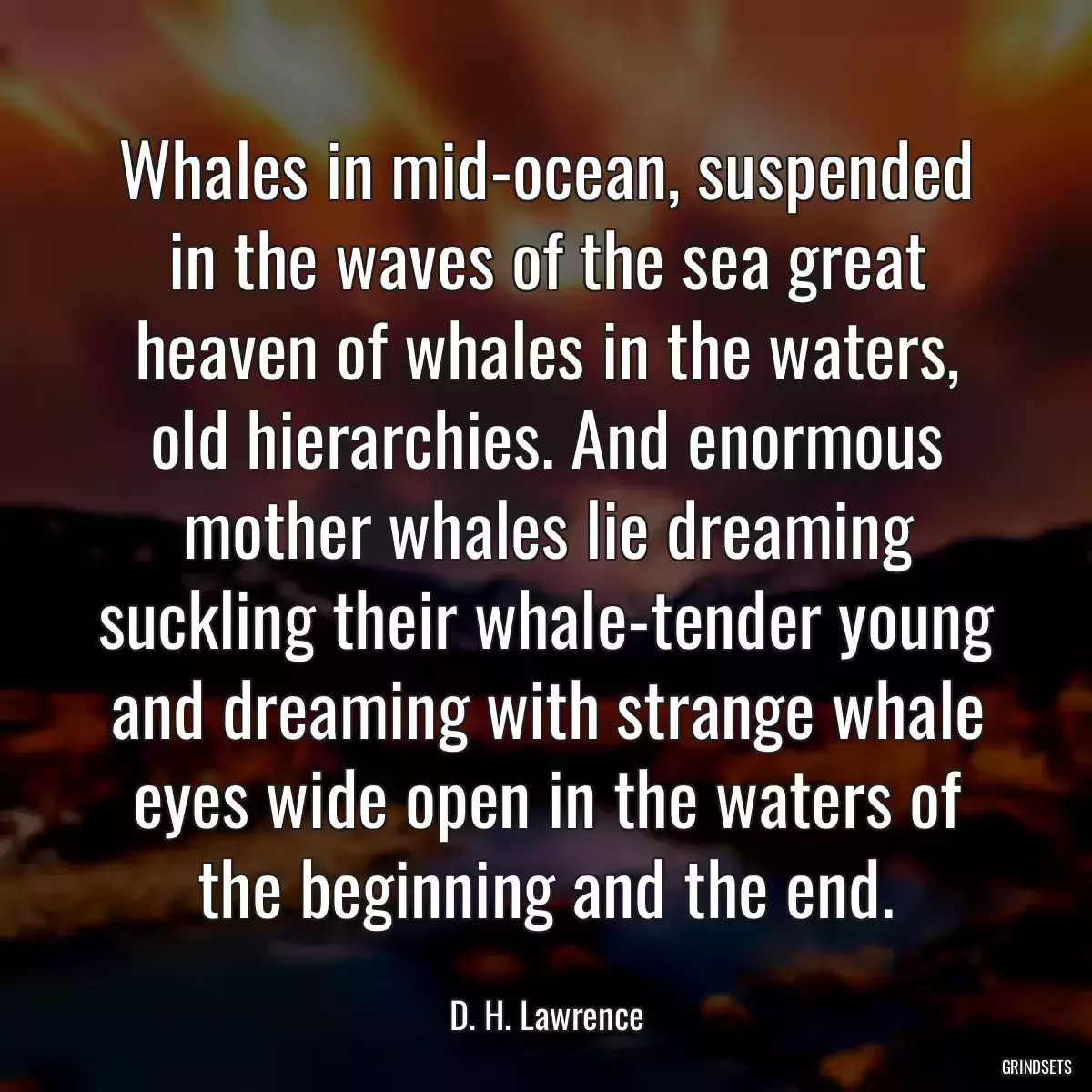 Whales in mid-ocean, suspended in the waves of the sea great heaven of whales in the waters, old hierarchies. And enormous mother whales lie dreaming suckling their whale-tender young and dreaming with strange whale eyes wide open in the waters of the beginning and the end.