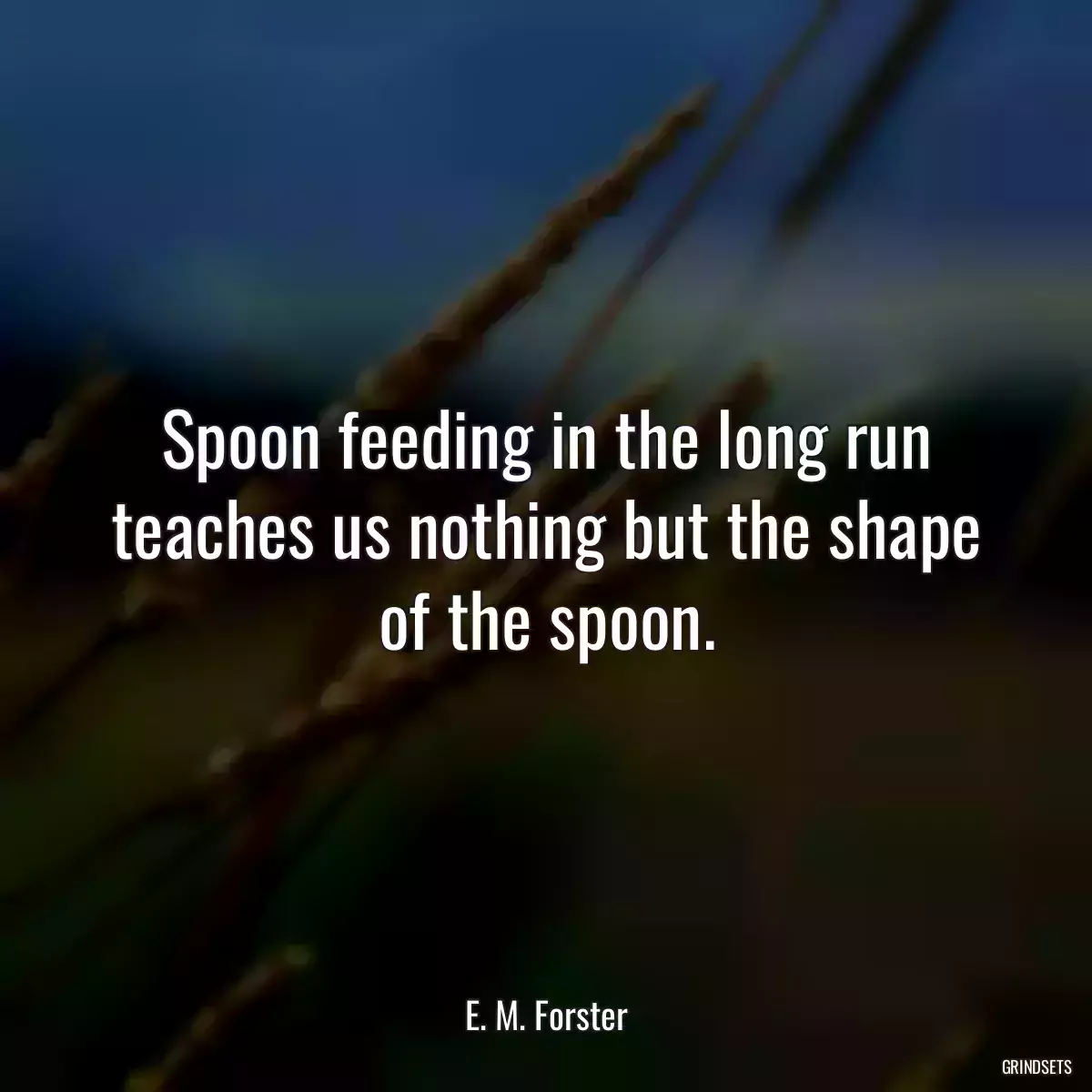 Spoon feeding in the long run teaches us nothing but the shape of the spoon.