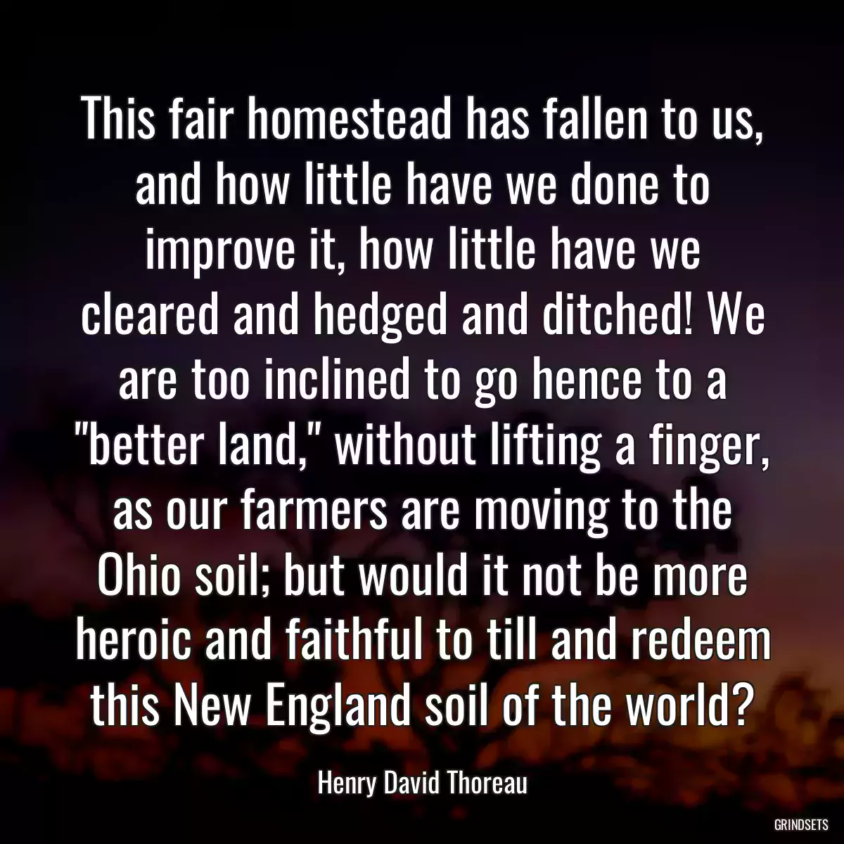 This fair homestead has fallen to us, and how little have we done to improve it, how little have we cleared and hedged and ditched! We are too inclined to go hence to a \