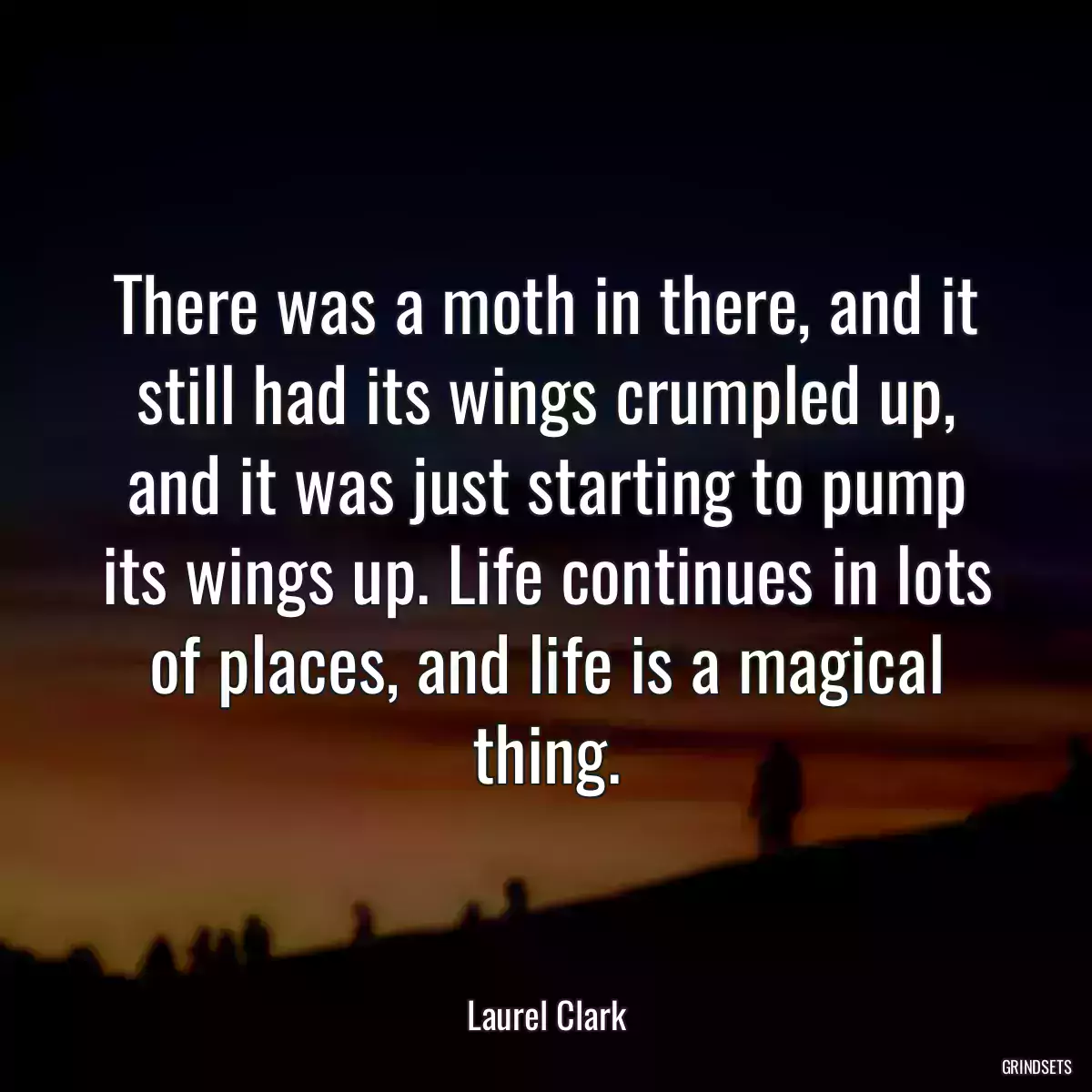 There was a moth in there, and it still had its wings crumpled up, and it was just starting to pump its wings up. Life continues in lots of places, and life is a magical thing.