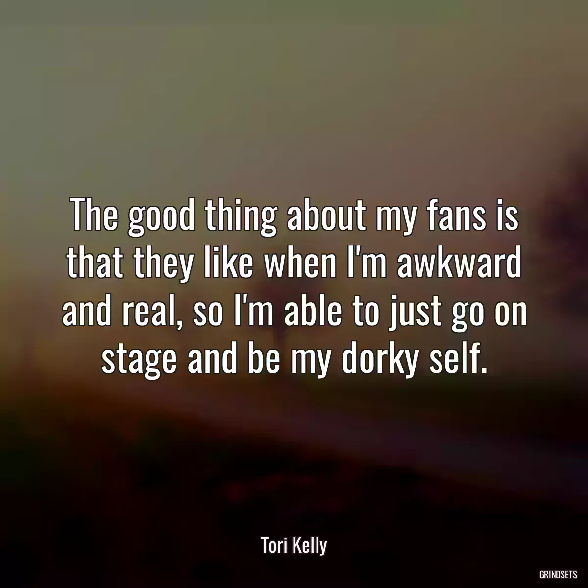 The good thing about my fans is that they like when I\'m awkward and real, so I\'m able to just go on stage and be my dorky self.