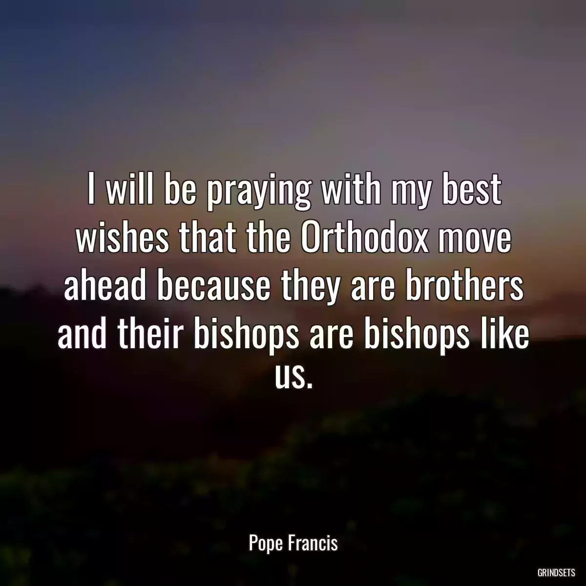 I will be praying with my best wishes that the Orthodox move ahead because they are brothers and their bishops are bishops like us.