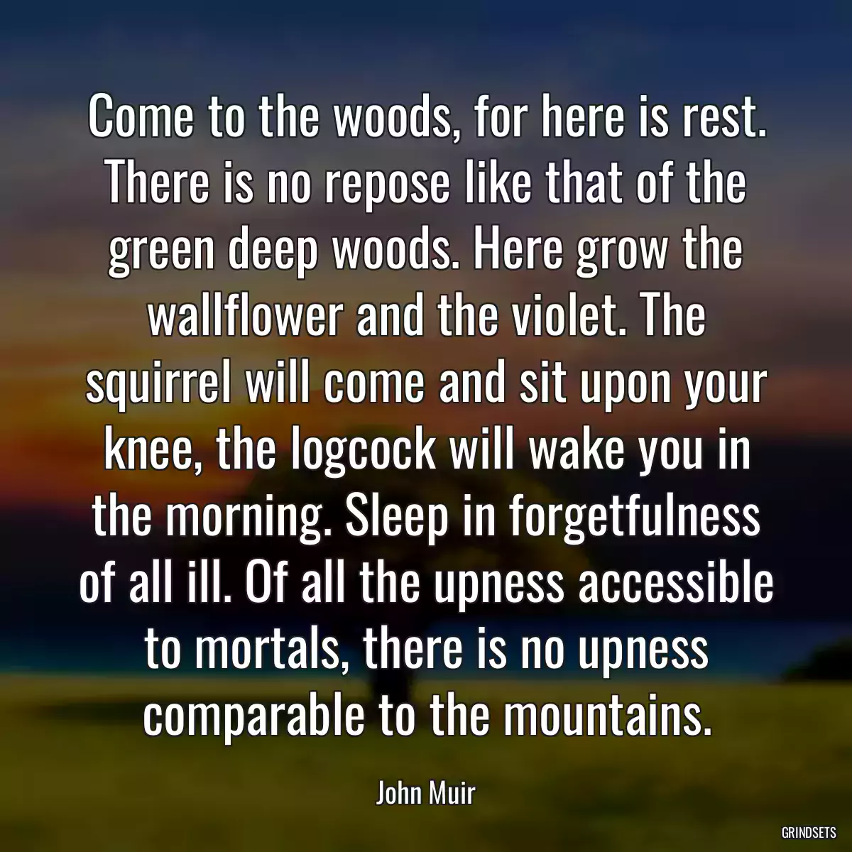 Come to the woods, for here is rest. There is no repose like that of the green deep woods. Here grow the wallflower and the violet. The squirrel will come and sit upon your knee, the logcock will wake you in the morning. Sleep in forgetfulness of all ill. Of all the upness accessible to mortals, there is no upness comparable to the mountains.