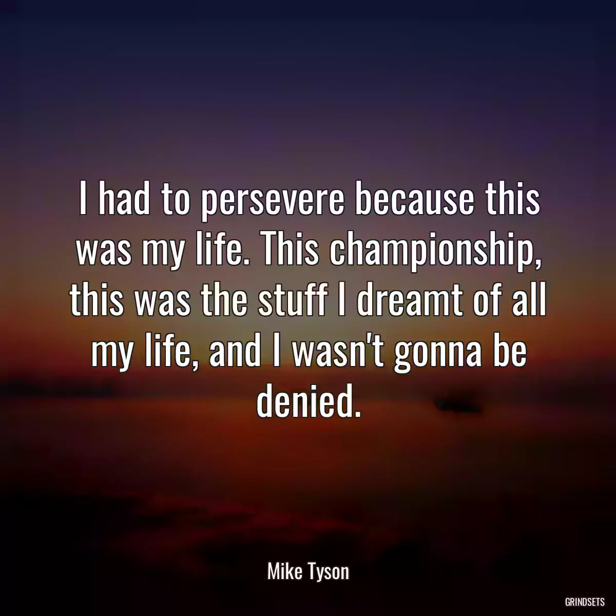 I had to persevere because this was my life. This championship, this was the stuff I dreamt of all my life, and I wasn\'t gonna be denied.