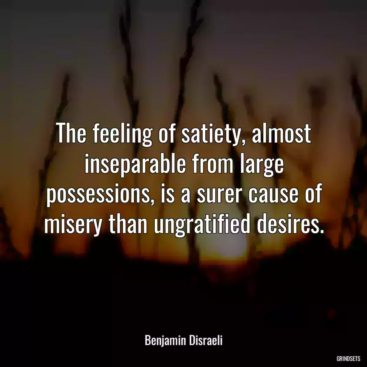 The feeling of satiety, almost inseparable from large possessions, is a surer cause of misery than ungratified desires.