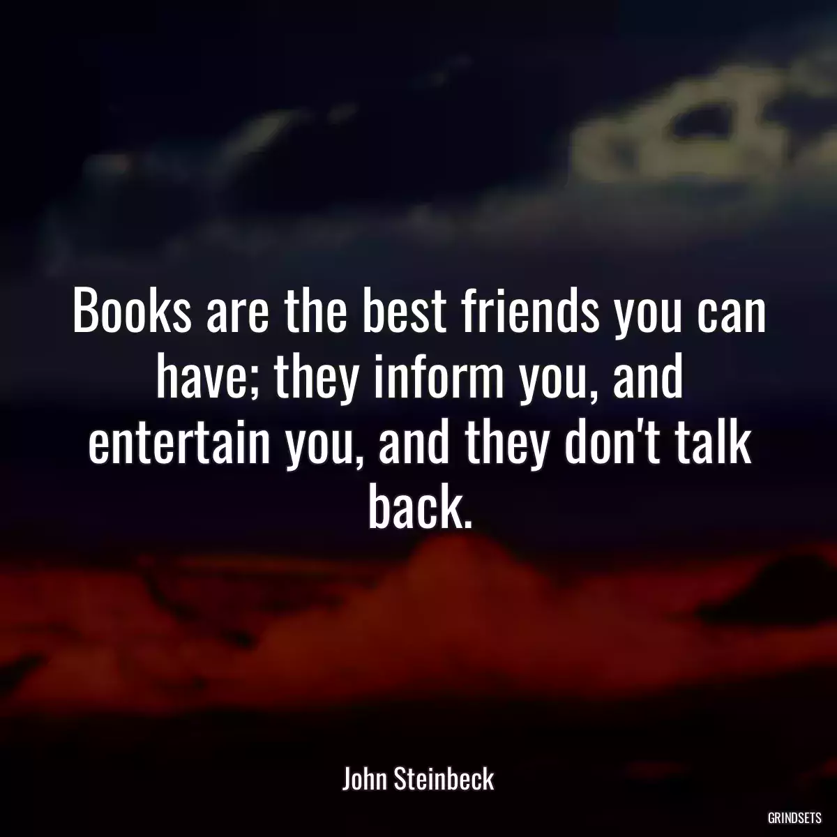 Books are the best friends you can have; they inform you, and entertain you, and they don\'t talk back.