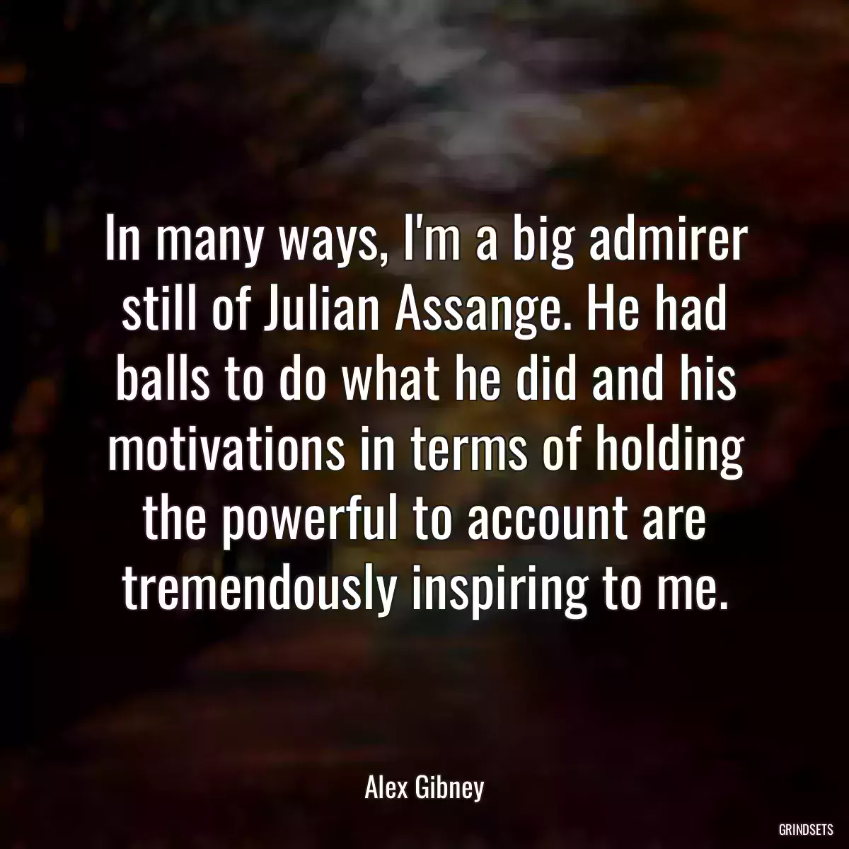 In many ways, I\'m a big admirer still of Julian Assange. He had balls to do what he did and his motivations in terms of holding the powerful to account are tremendously inspiring to me.