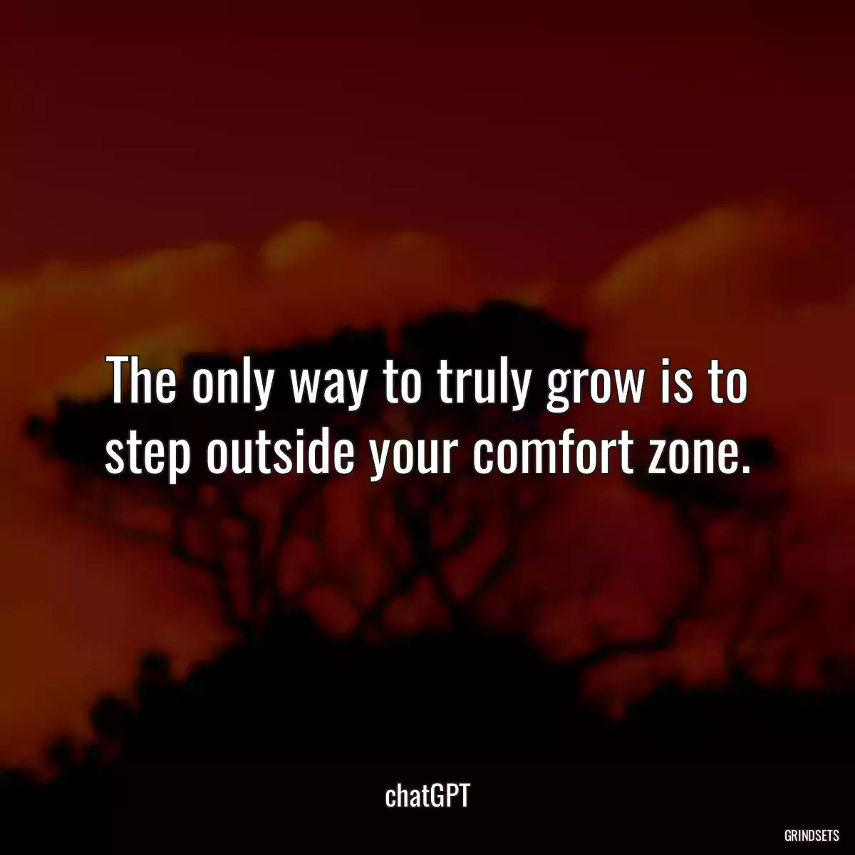 The only way to truly grow is to step outside your comfort zone.