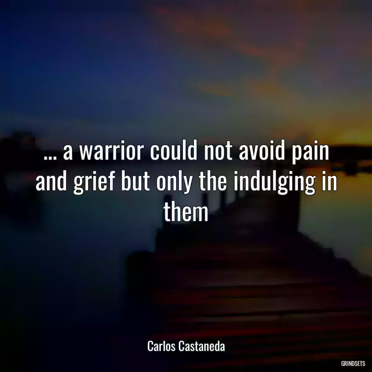 ... a warrior could not avoid pain and grief but only the indulging in them