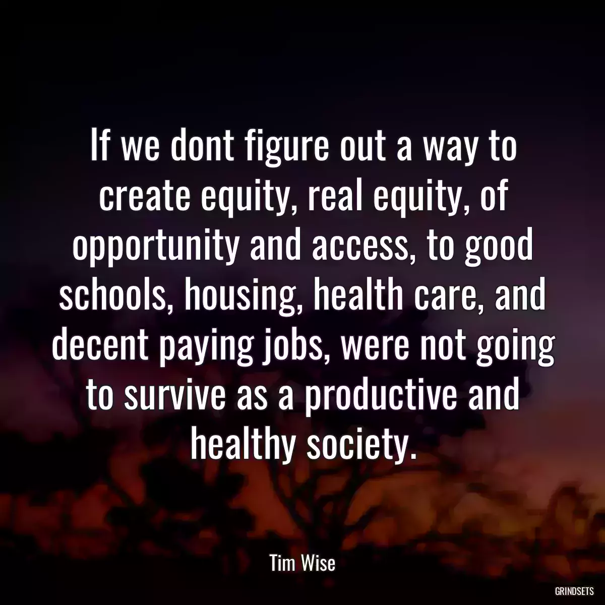 If we dont figure out a way to create equity, real equity, of opportunity and access, to good schools, housing, health care, and decent paying jobs, were not going to survive as a productive and healthy society.