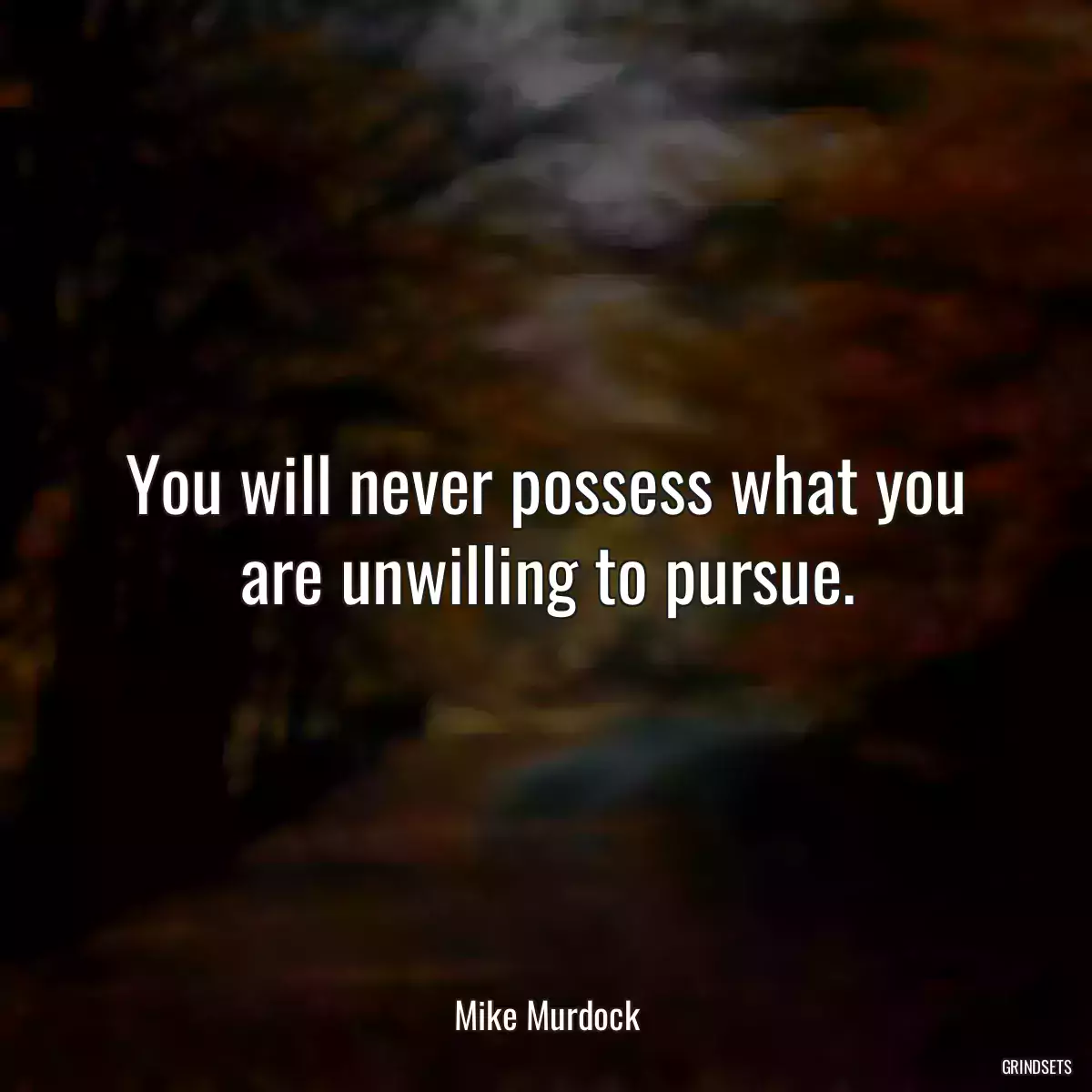 You will never possess what you are unwilling to pursue.