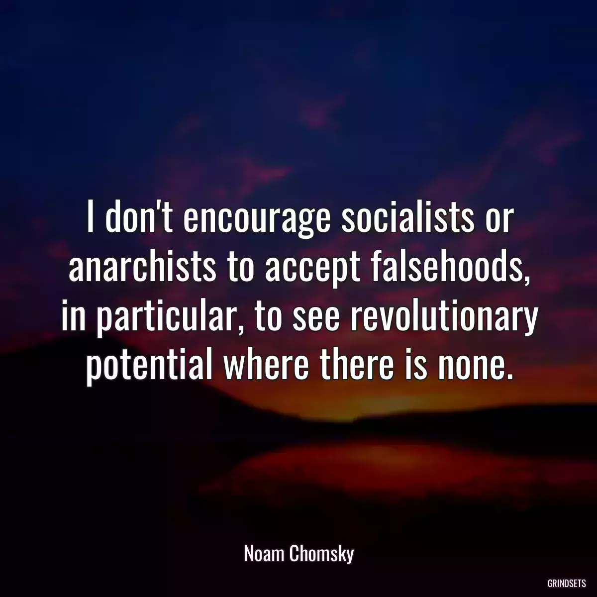 I don\'t encourage socialists or anarchists to accept falsehoods, in particular, to see revolutionary potential where there is none.