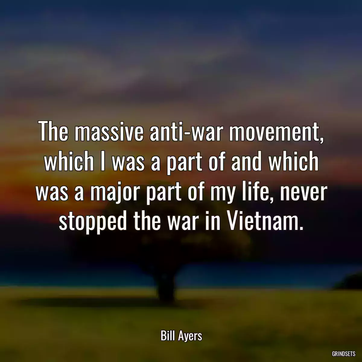 The massive anti-war movement, which I was a part of and which was a major part of my life, never stopped the war in Vietnam.