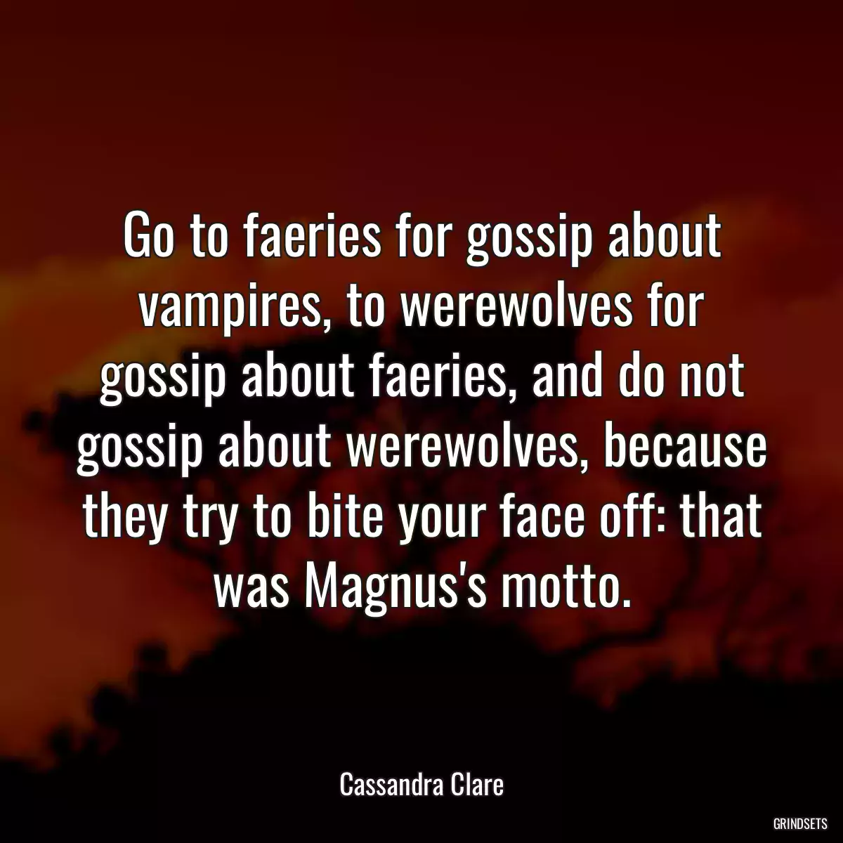 Go to faeries for gossip about vampires, to werewolves for gossip about faeries, and do not gossip about werewolves, because they try to bite your face off: that was Magnus\'s motto.