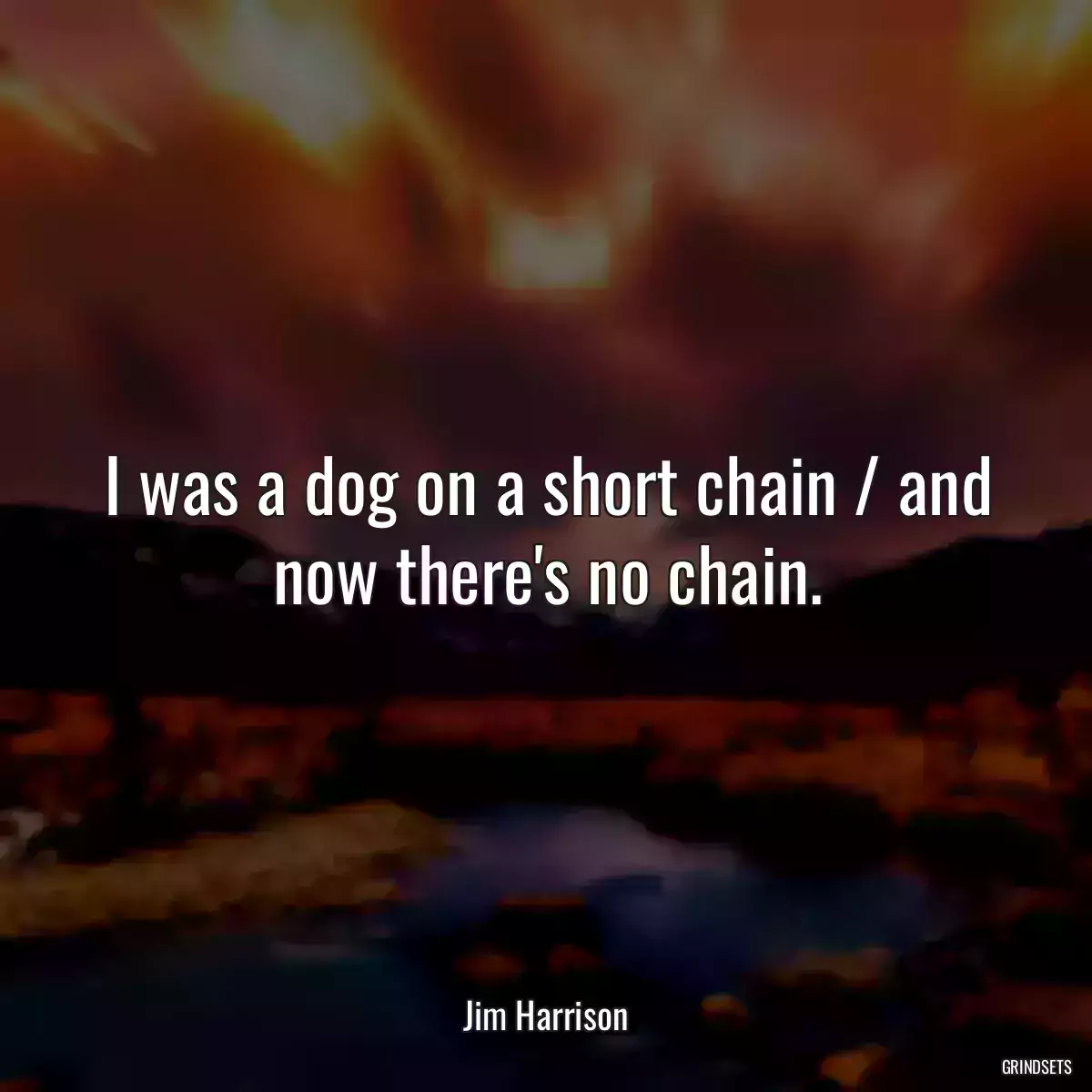 I was a dog on a short chain / and now there\'s no chain.