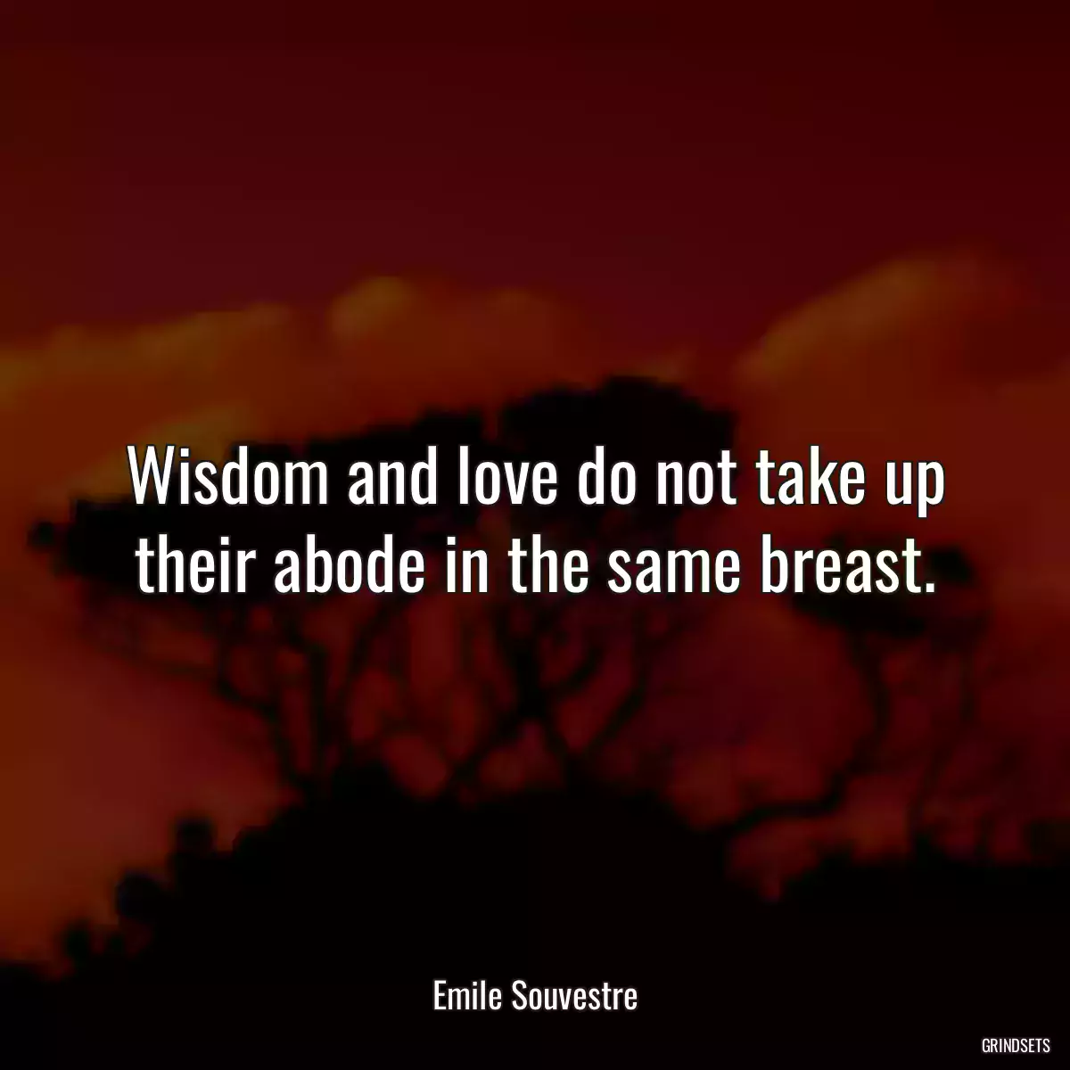 Wisdom and love do not take up their abode in the same breast.