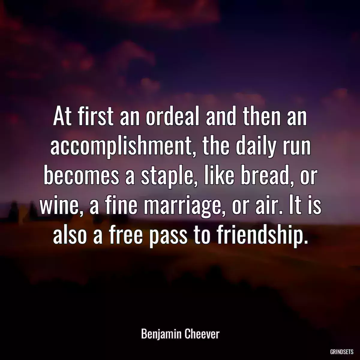 At first an ordeal and then an accomplishment, the daily run becomes a staple, like bread, or wine, a fine marriage, or air. It is also a free pass to friendship.