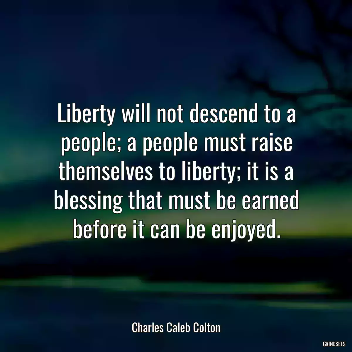 Liberty will not descend to a people; a people must raise themselves to liberty; it is a blessing that must be earned before it can be enjoyed.