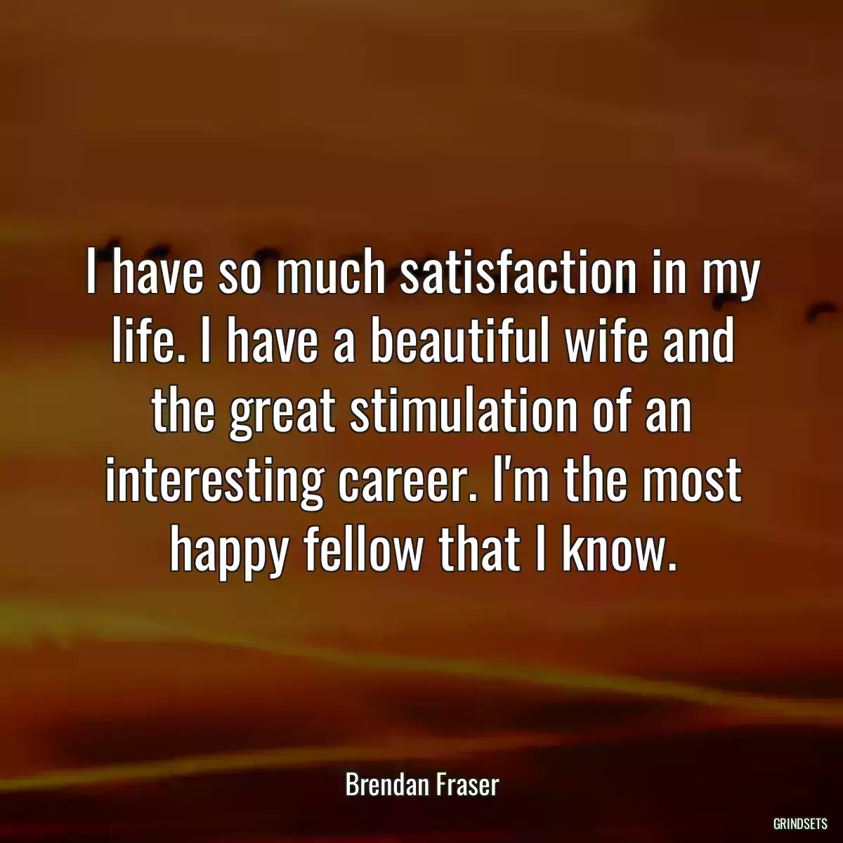 I have so much satisfaction in my life. I have a beautiful wife and the great stimulation of an interesting career. I\'m the most happy fellow that I know.