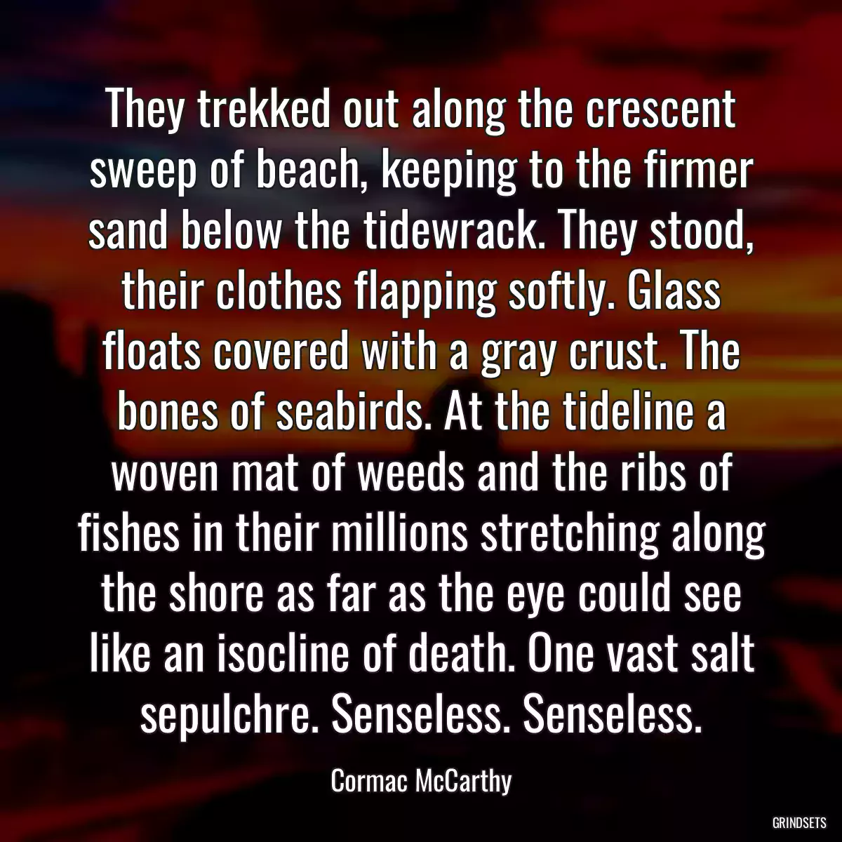 They trekked out along the crescent sweep of beach, keeping to the firmer sand below the tidewrack. They stood, their clothes flapping softly. Glass floats covered with a gray crust. The bones of seabirds. At the tideline a woven mat of weeds and the ribs of fishes in their millions stretching along the shore as far as the eye could see like an isocline of death. One vast salt sepulchre. Senseless. Senseless.