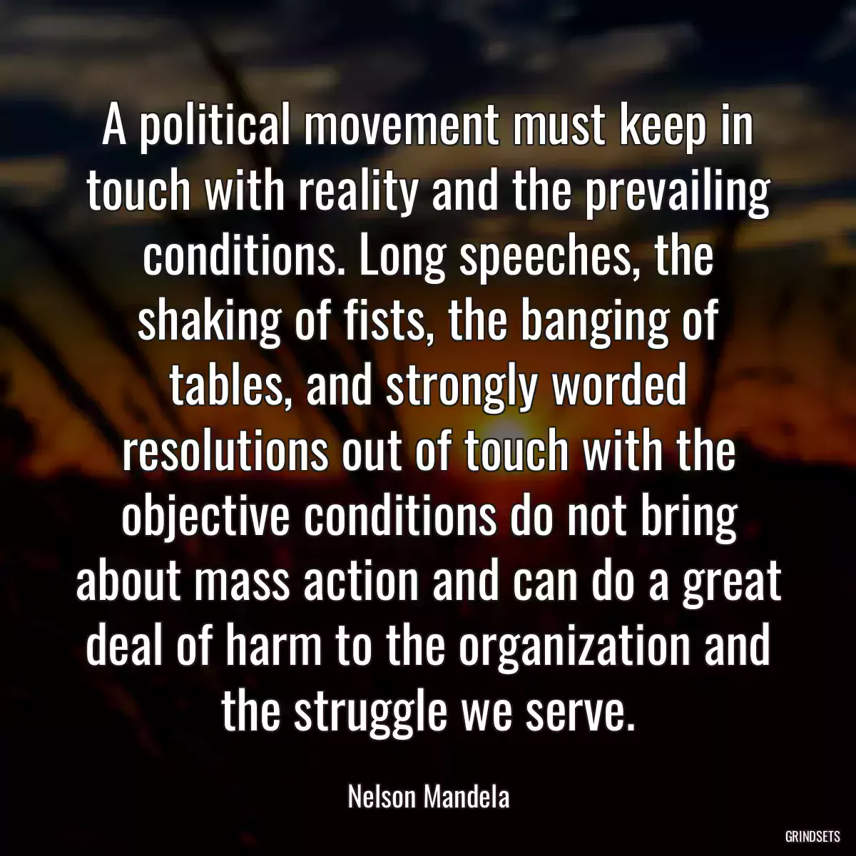 A political movement must keep in touch with reality and the prevailing conditions. Long speeches, the shaking of fists, the banging of tables, and strongly worded resolutions out of touch with the objective conditions do not bring about mass action and can do a great deal of harm to the organization and the struggle we serve.