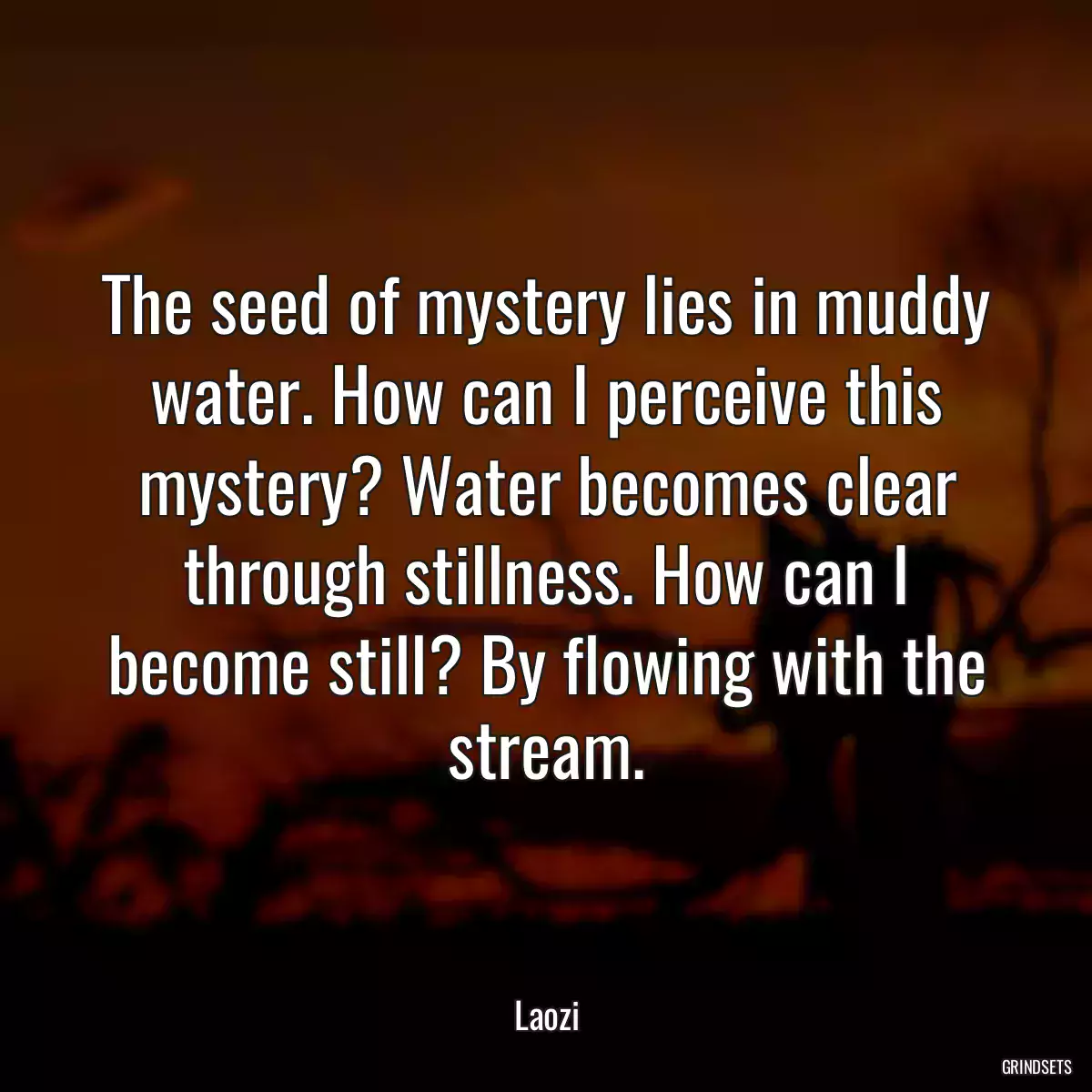 The seed of mystery lies in muddy water. How can I perceive this mystery? Water becomes clear through stillness. How can I become still? By flowing with the stream.