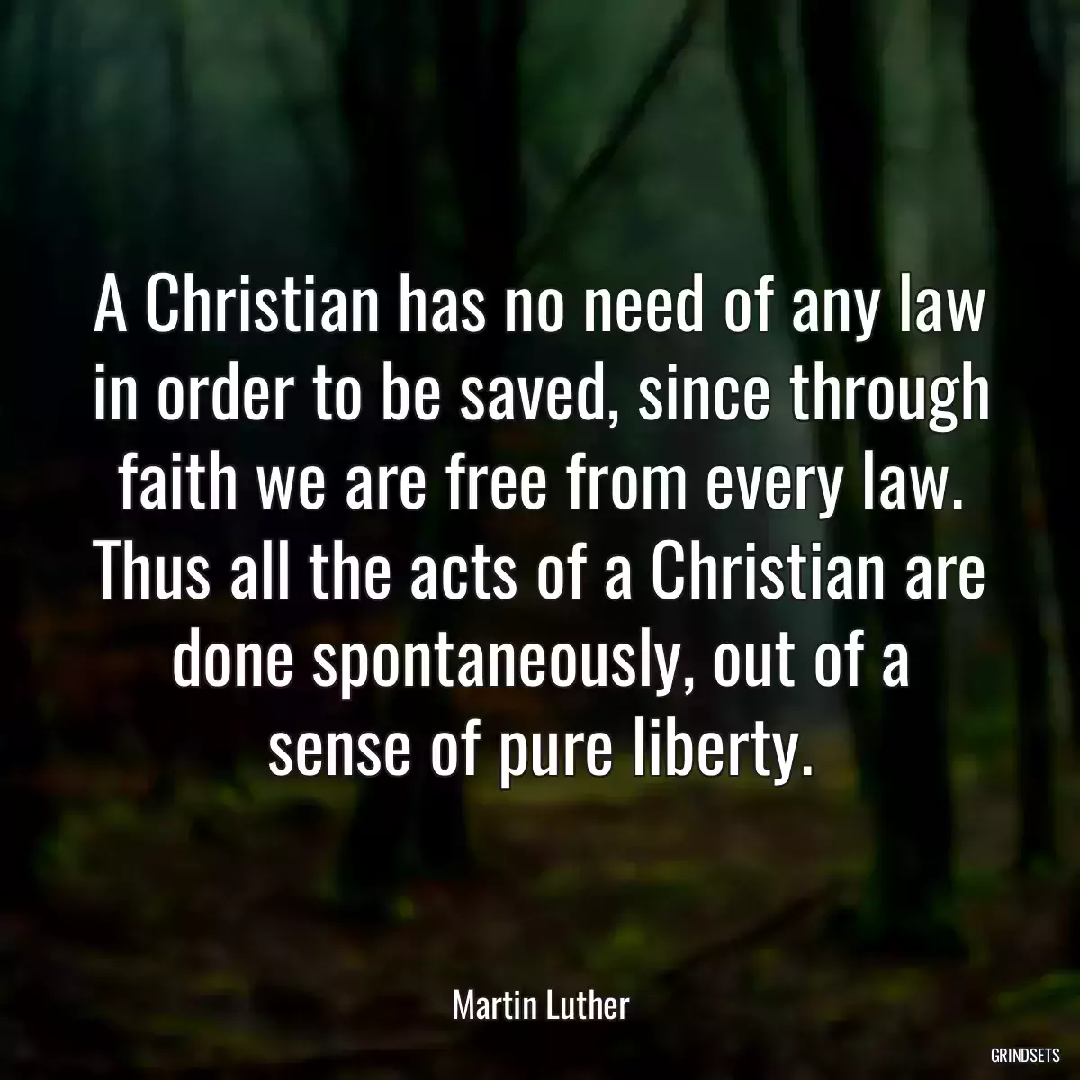 A Christian has no need of any law in order to be saved, since through faith we are free from every law. Thus all the acts of a Christian are done spontaneously, out of a sense of pure liberty.