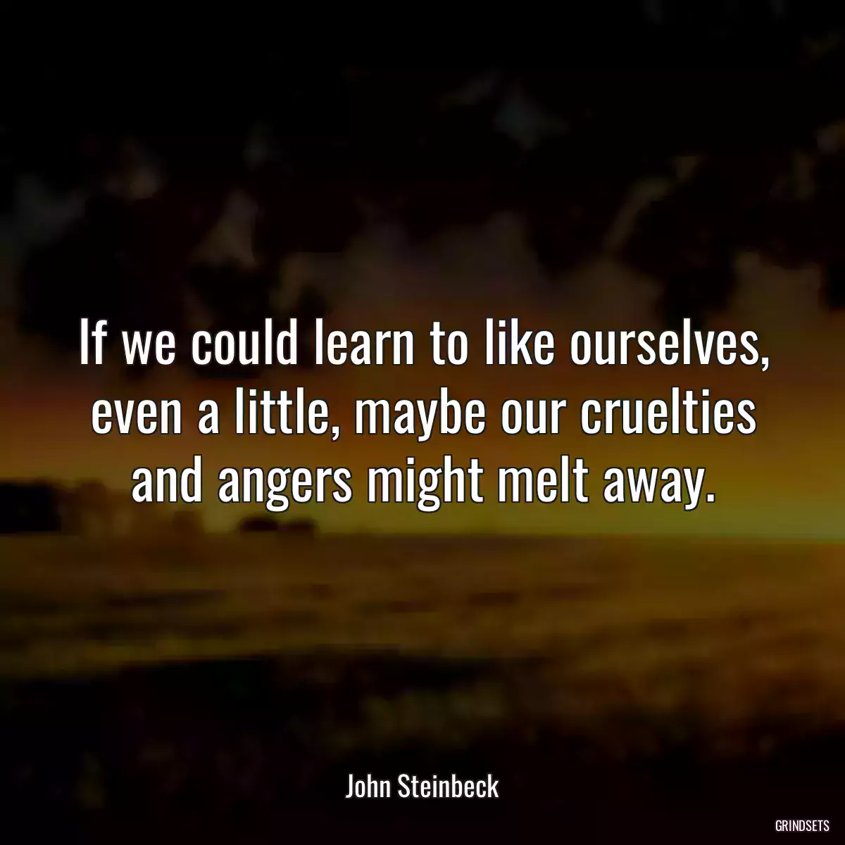 If we could learn to like ourselves, even a little, maybe our cruelties and angers might melt away.