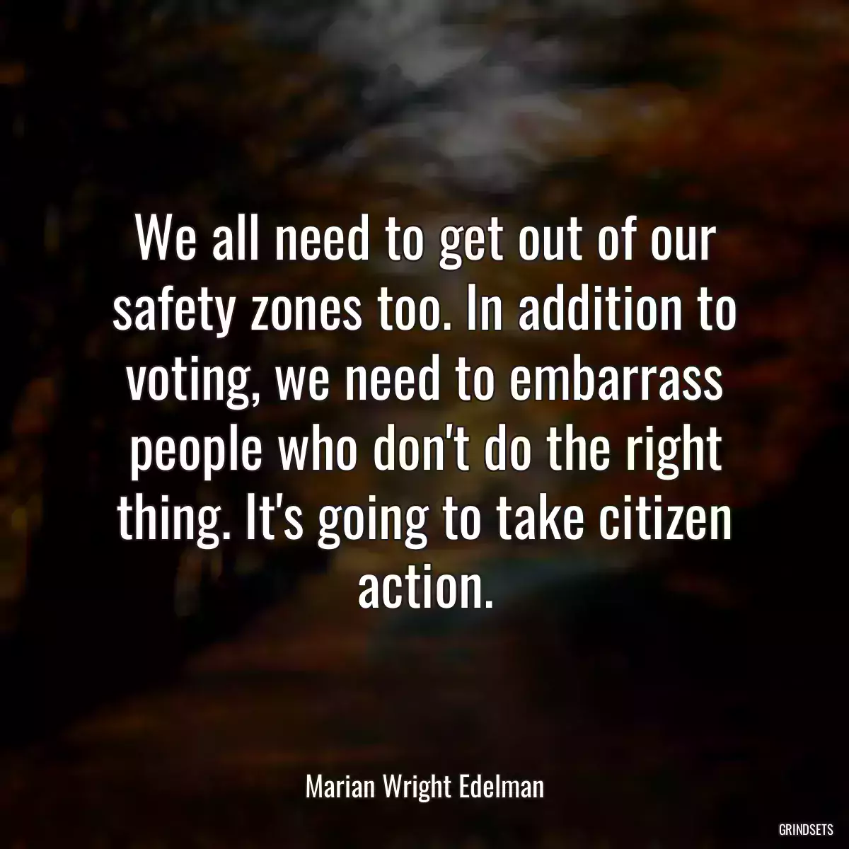 We all need to get out of our safety zones too. In addition to voting, we need to embarrass people who don\'t do the right thing. It\'s going to take citizen action.