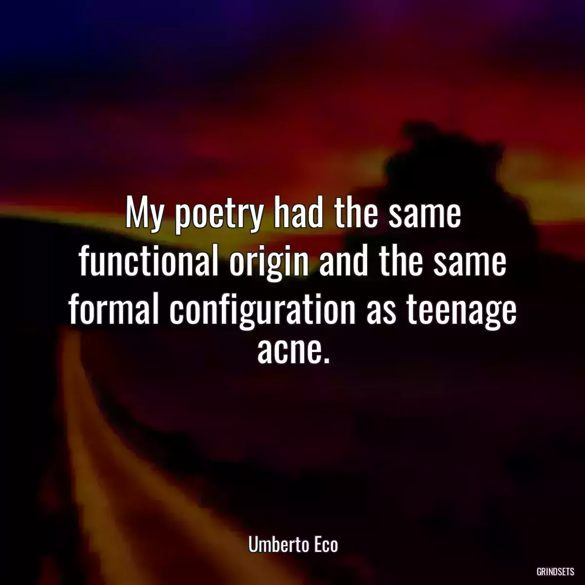 My poetry had the same functional origin and the same formal configuration as teenage acne.