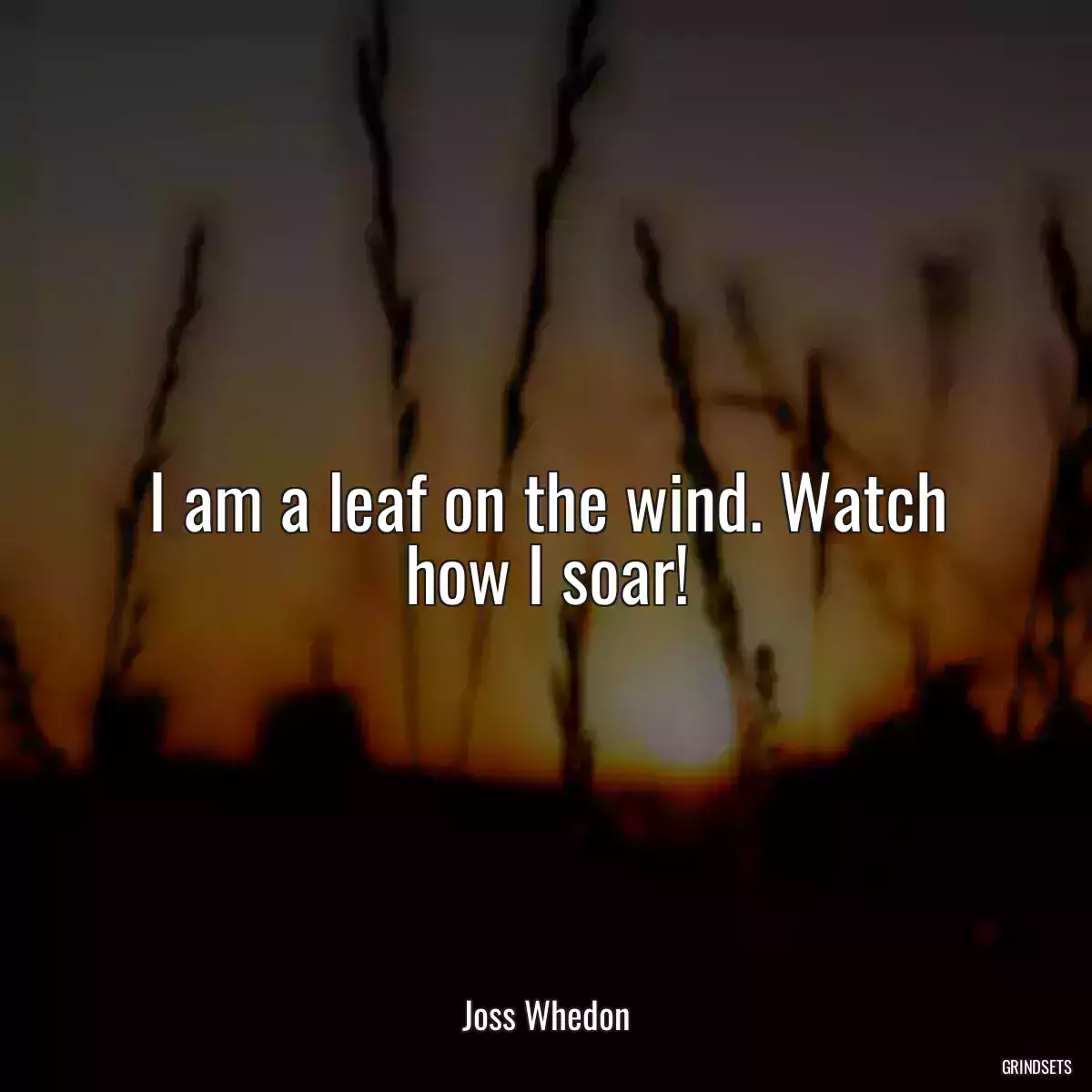 I am a leaf on the wind. Watch how I soar!