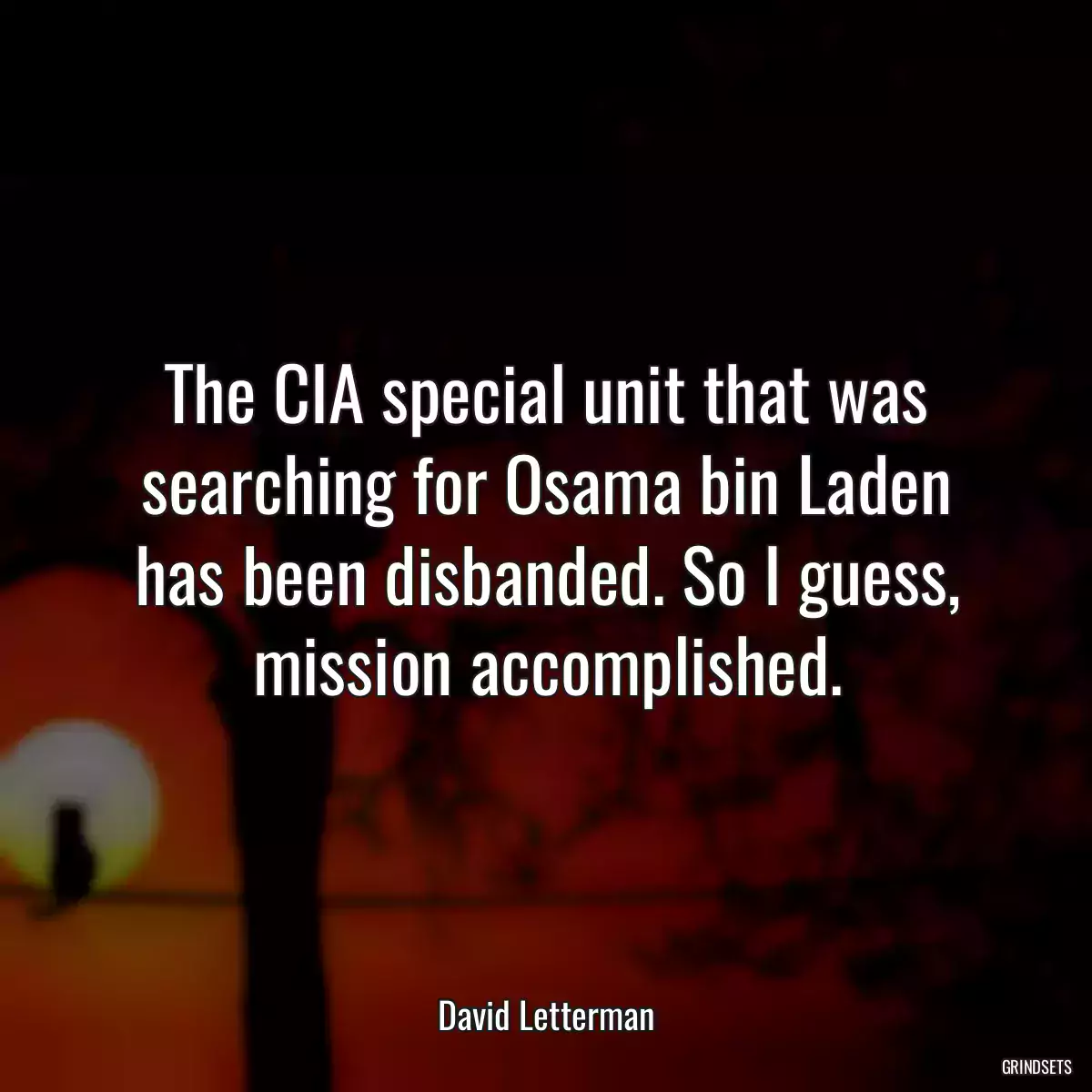 The CIA special unit that was searching for Osama bin Laden has been disbanded. So I guess, mission accomplished.