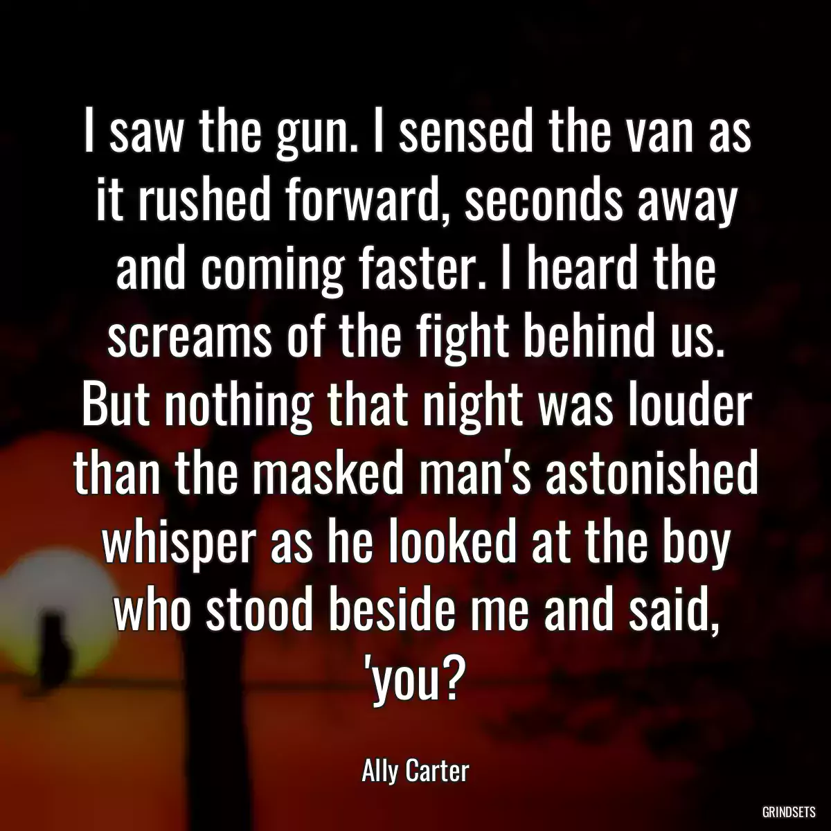 I saw the gun. I sensed the van as it rushed forward, seconds away and coming faster. I heard the screams of the fight behind us. But nothing that night was louder than the masked man\'s astonished whisper as he looked at the boy who stood beside me and said, \'you?