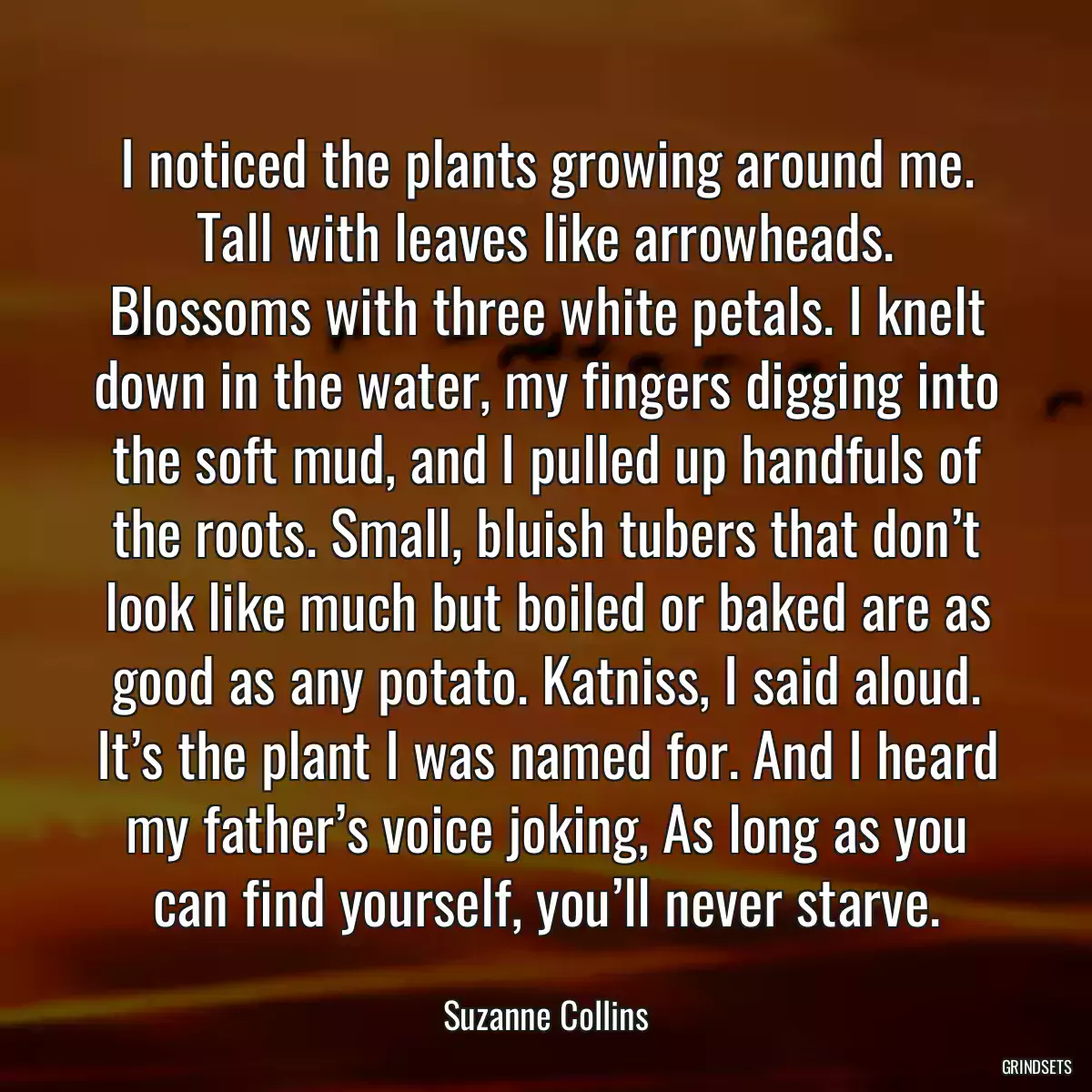 I noticed the plants growing around me. Tall with leaves like arrowheads. Blossoms with three white petals. I knelt down in the water, my fingers digging into the soft mud, and I pulled up handfuls of the roots. Small, bluish tubers that don’t look like much but boiled or baked are as good as any potato. Katniss, I said aloud. It’s the plant I was named for. And I heard my father’s voice joking, As long as you can find yourself, you’ll never starve.