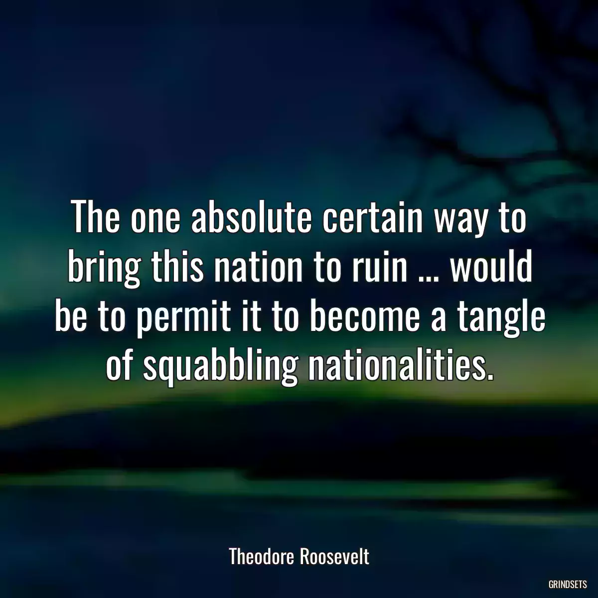 The one absolute certain way to bring this nation to ruin ... would be to permit it to become a tangle of squabbling nationalities.