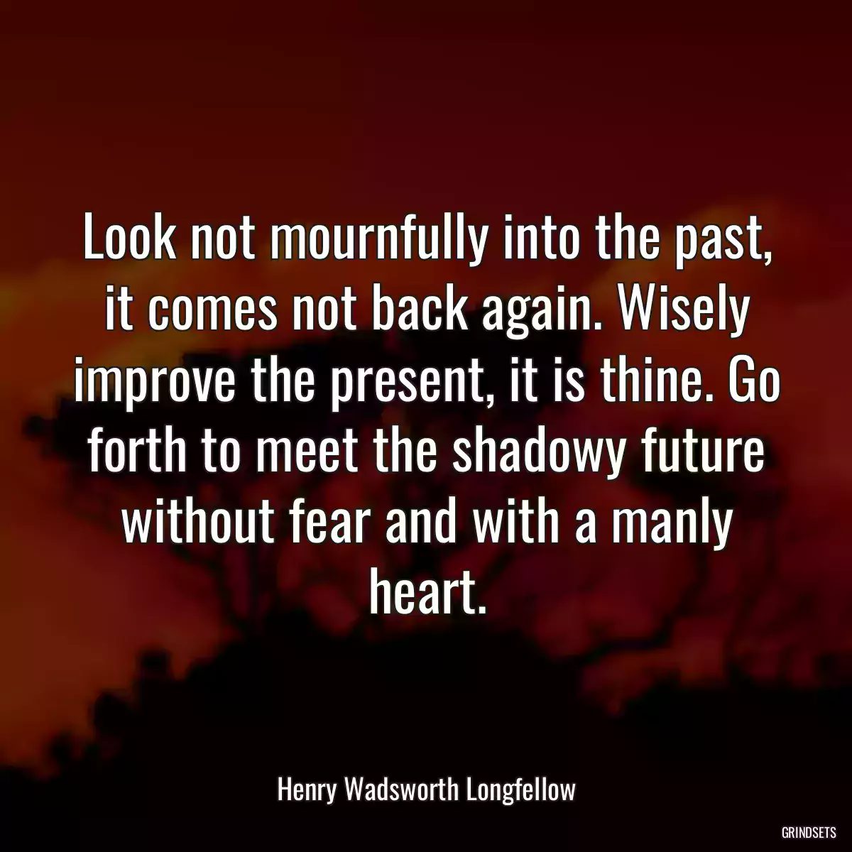 Look not mournfully into the past, it comes not back again. Wisely improve the present, it is thine. Go forth to meet the shadowy future without fear and with a manly heart.