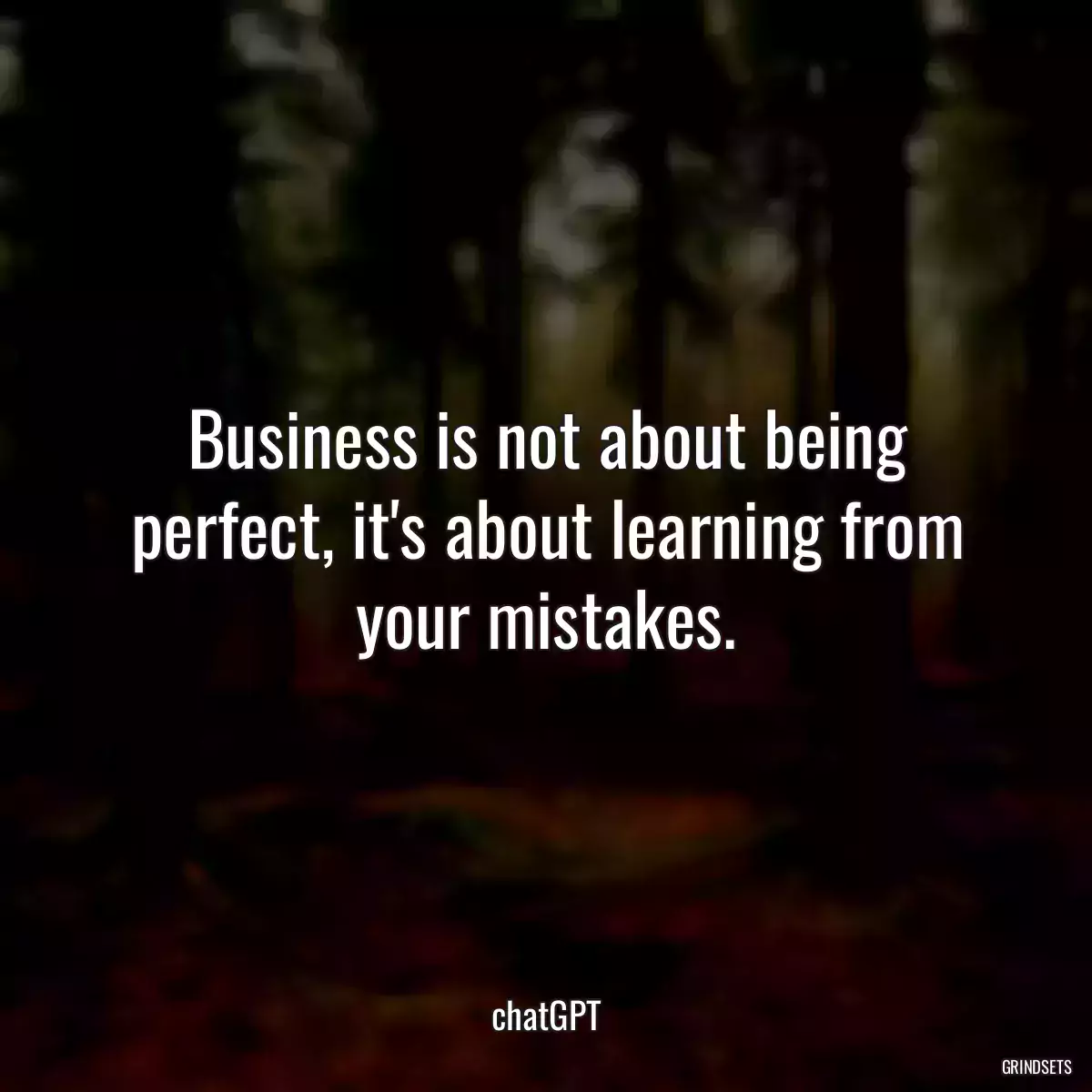 Business is not about being perfect, it\'s about learning from your mistakes.