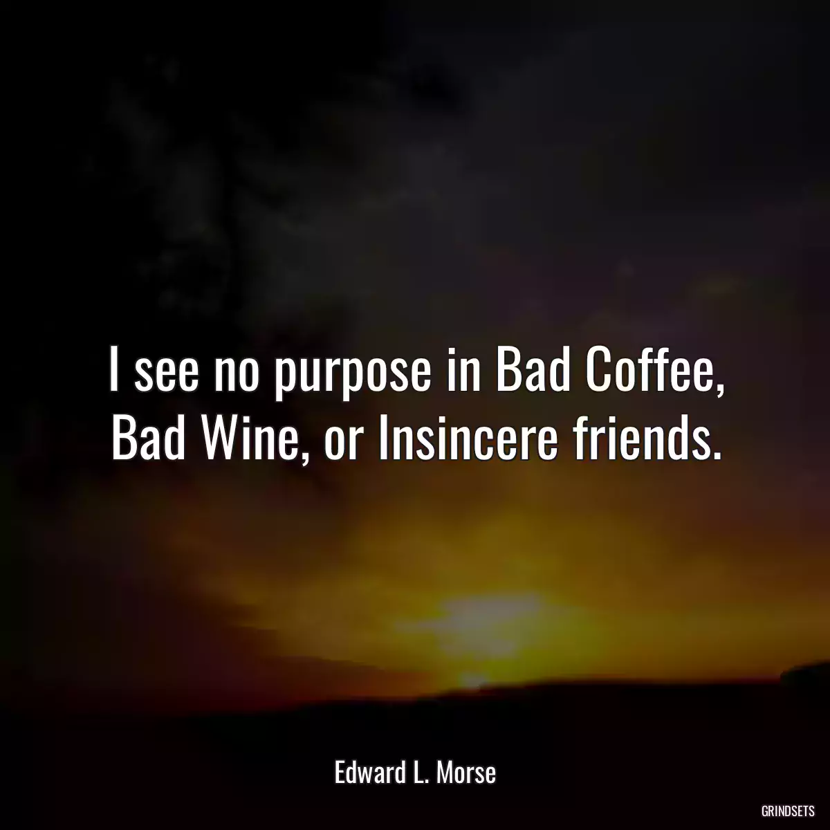 I see no purpose in Bad Coffee, Bad Wine, or Insincere friends.