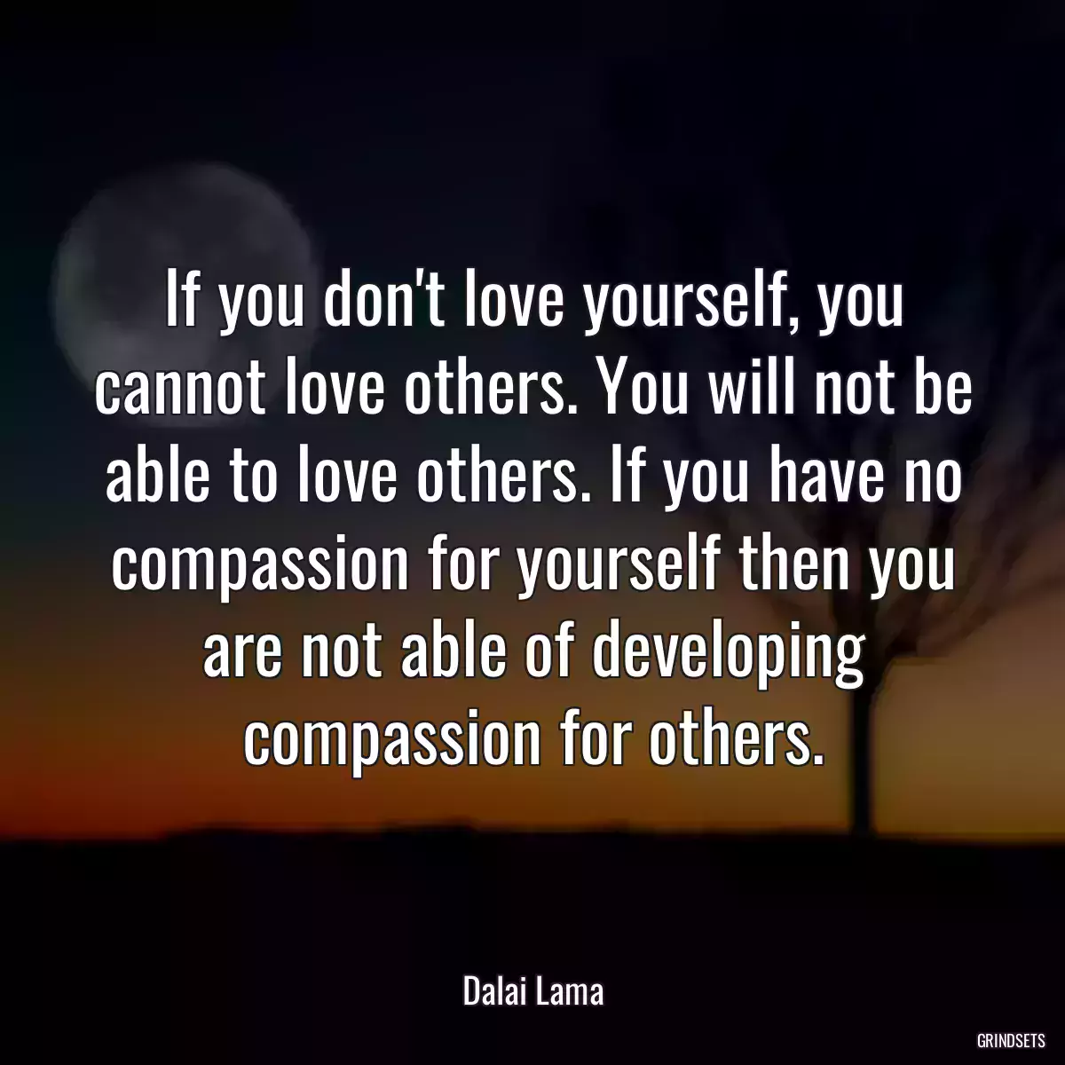 If you don\'t love yourself, you cannot love others. You will not be able to love others. If you have no compassion for yourself then you are not able of developing compassion for others.