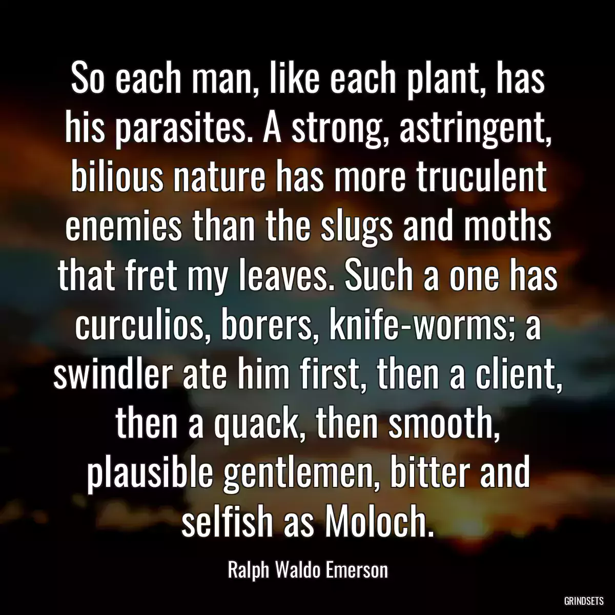So each man, like each plant, has his parasites. A strong, astringent, bilious nature has more truculent enemies than the slugs and moths that fret my leaves. Such a one has curculios, borers, knife-worms; a swindler ate him first, then a client, then a quack, then smooth, plausible gentlemen, bitter and selfish as Moloch.