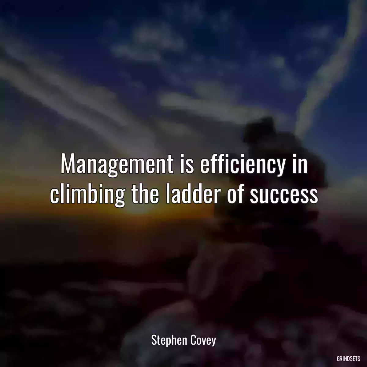 Management is efficiency in climbing the ladder of success