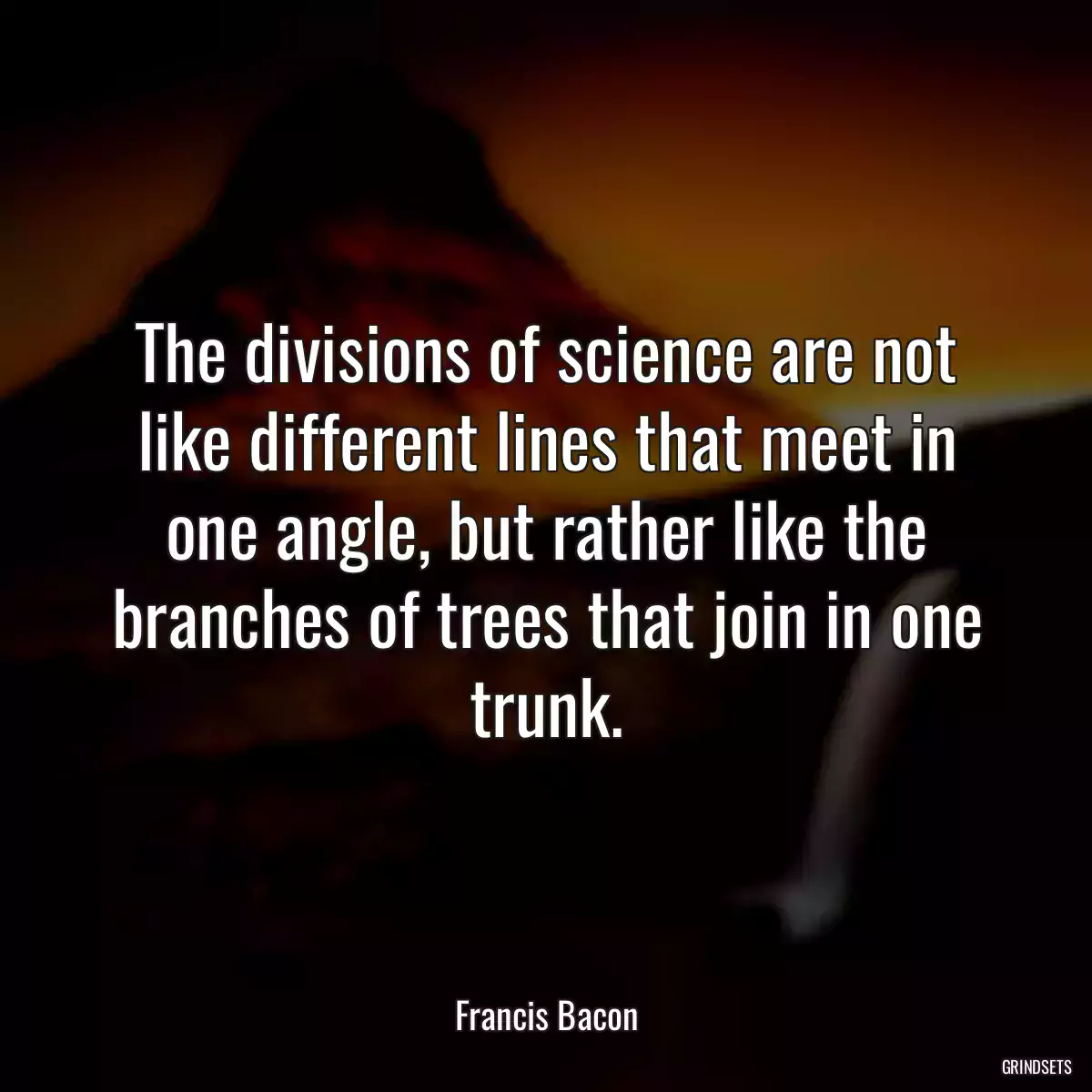 The divisions of science are not like different lines that meet in one angle, but rather like the branches of trees that join in one trunk.