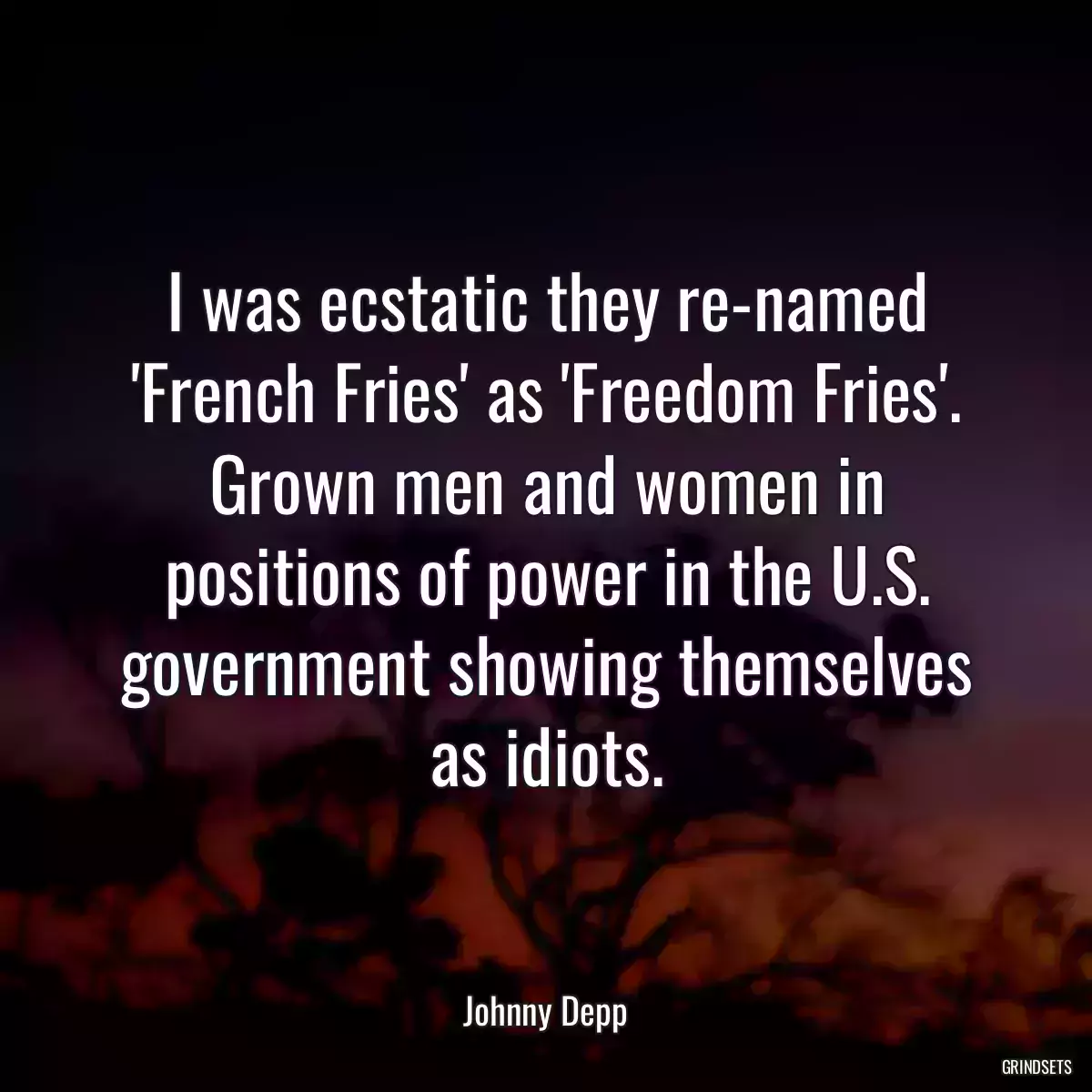 I was ecstatic they re-named \'French Fries\' as \'Freedom Fries\'. Grown men and women in positions of power in the U.S. government showing themselves as idiots.