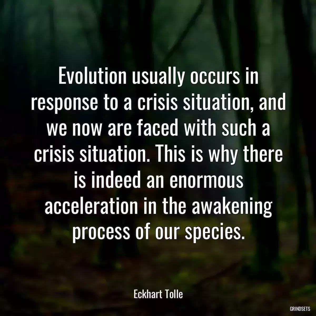 Evolution usually occurs in response to a crisis situation, and we now are faced with such a crisis situation. This is why there is indeed an enormous acceleration in the awakening process of our species.