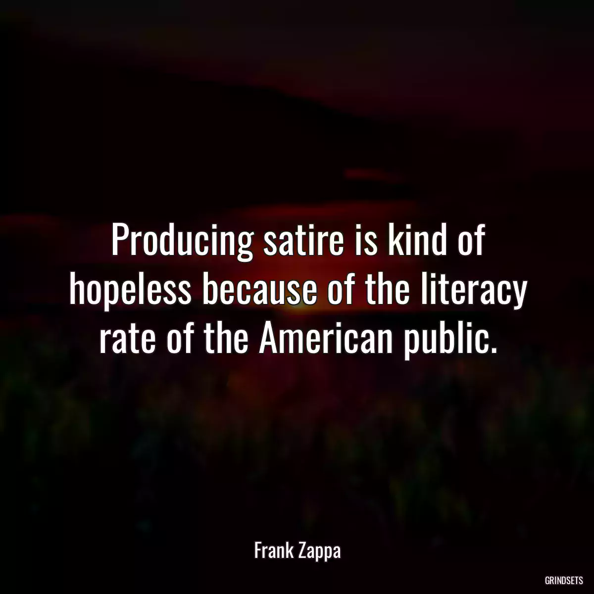 Producing satire is kind of hopeless because of the literacy rate of the American public.